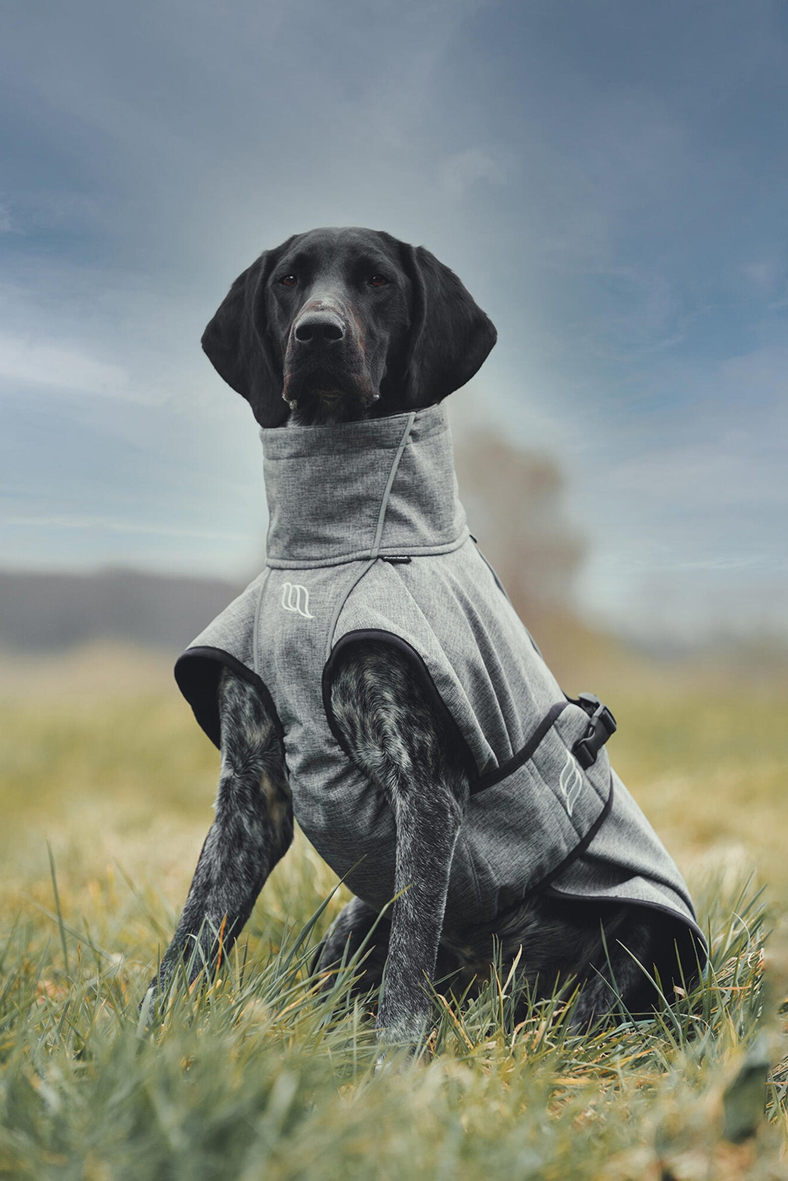 undefined Back on Track Bark All-Round Dog Coat, 40-50cm Dog Accesories