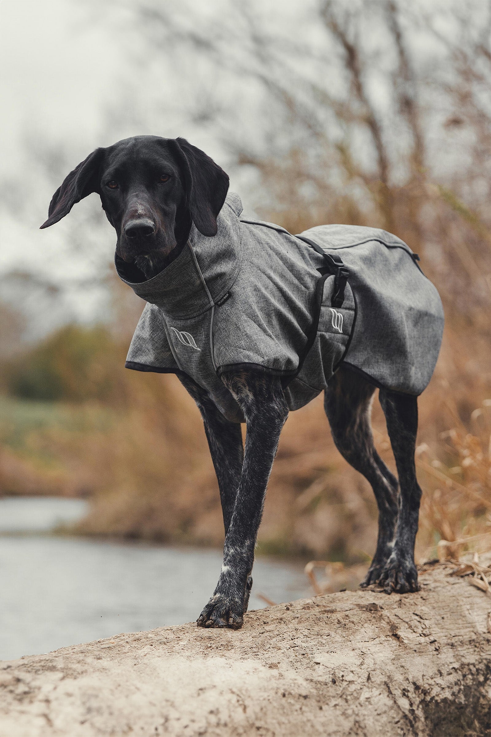 undefined Back on Track Bark All-Round Dog Coat, 40-50cm Dog Accesories