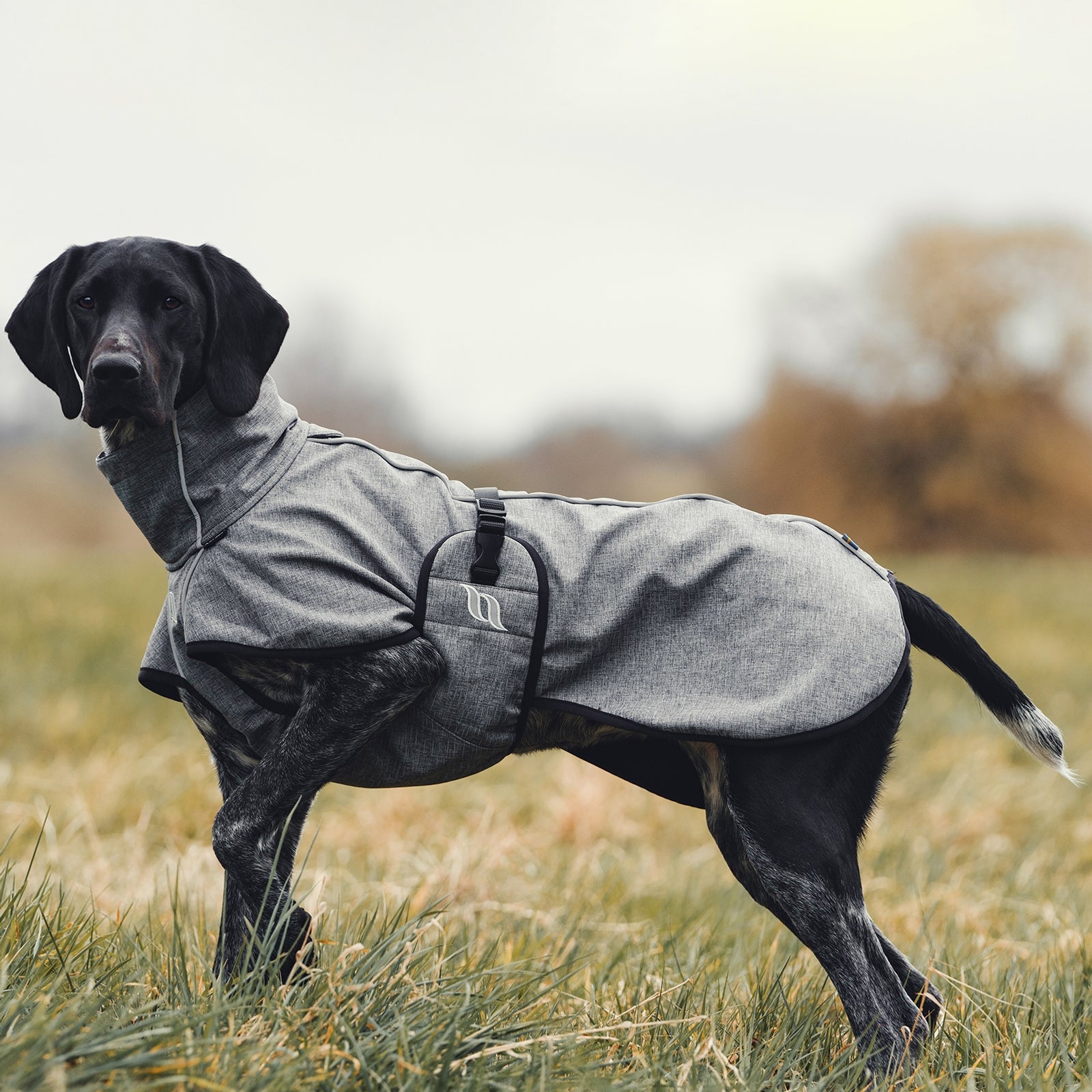undefined Back on Track Bark All-Round Dog Coat, 40-50cm Dog Accesories