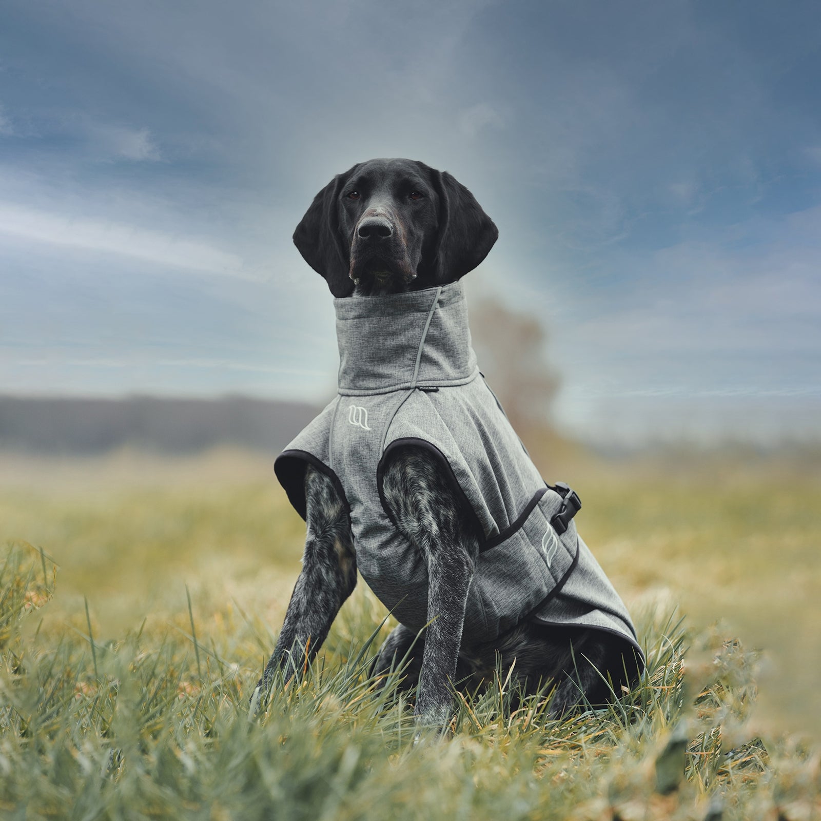 undefined Back on Track Bark All-Round Dog Coat, 40-50cm Dog Accesories