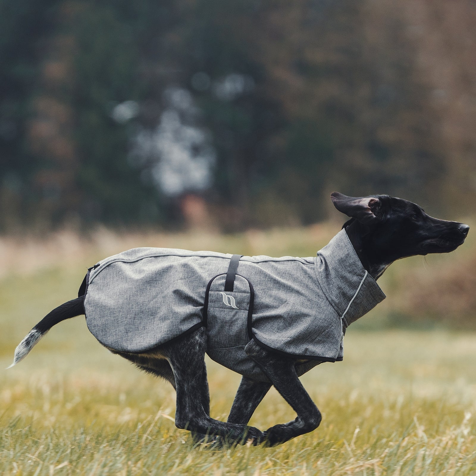 undefined Back on Track Bark All-Round Dog Coat, 40-50cm Dog Accesories