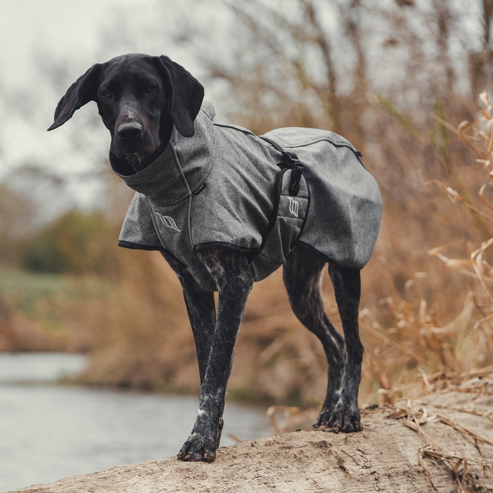 undefined Back on Track Bark All-Round Dog Coat, 40-50cm Dog Accesories