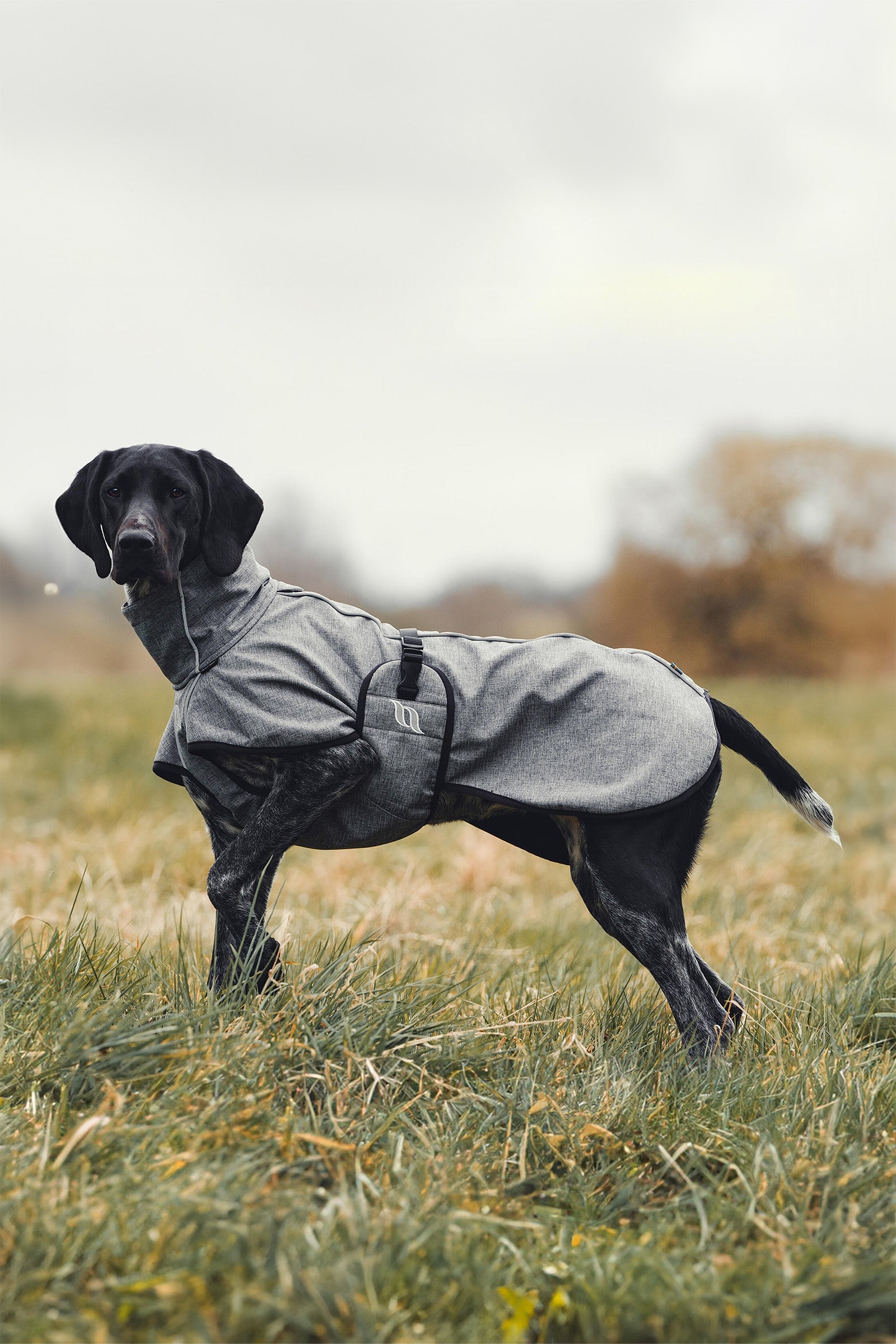 Back on Track Bark All-Round Dog Coat, 70-80cm Dog Accesories