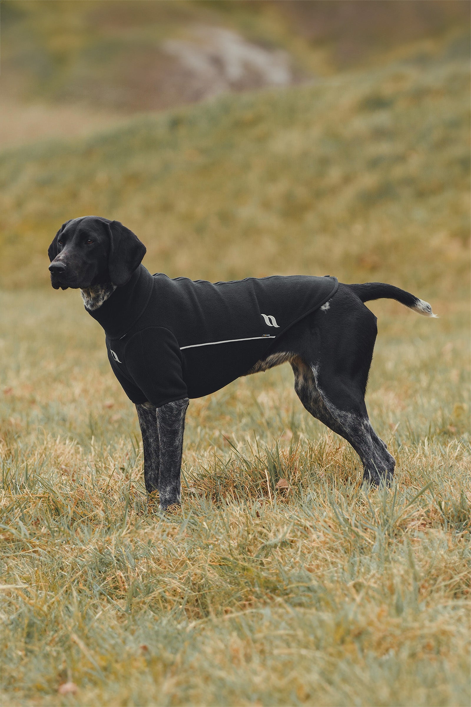 undefined Back on Track Cassie All-Weather Jumper, 65-70cm Dog Accesories
