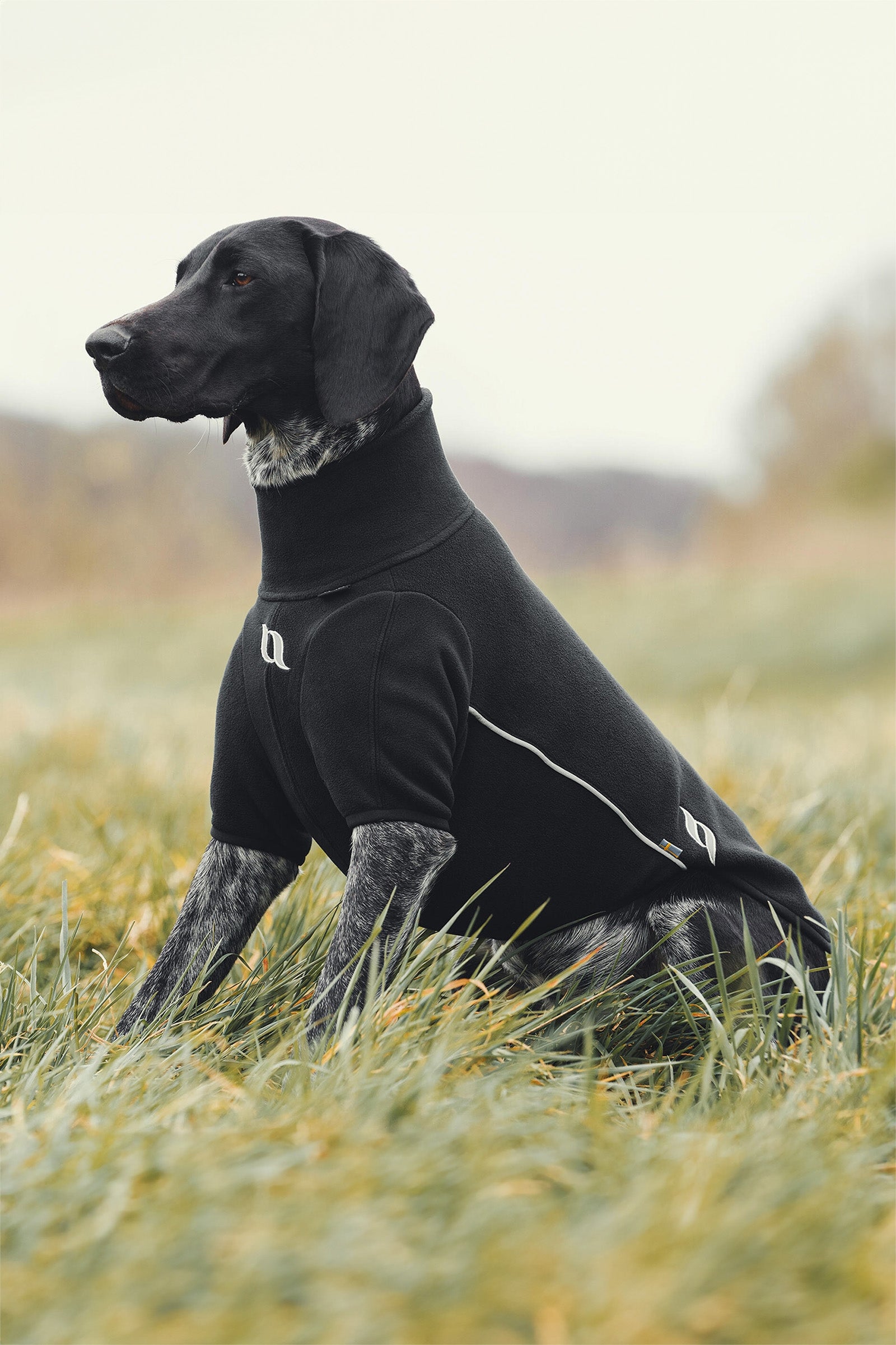 undefined Back on Track Cassie All-Weather Jumper, 65-70cm Dog Accesories