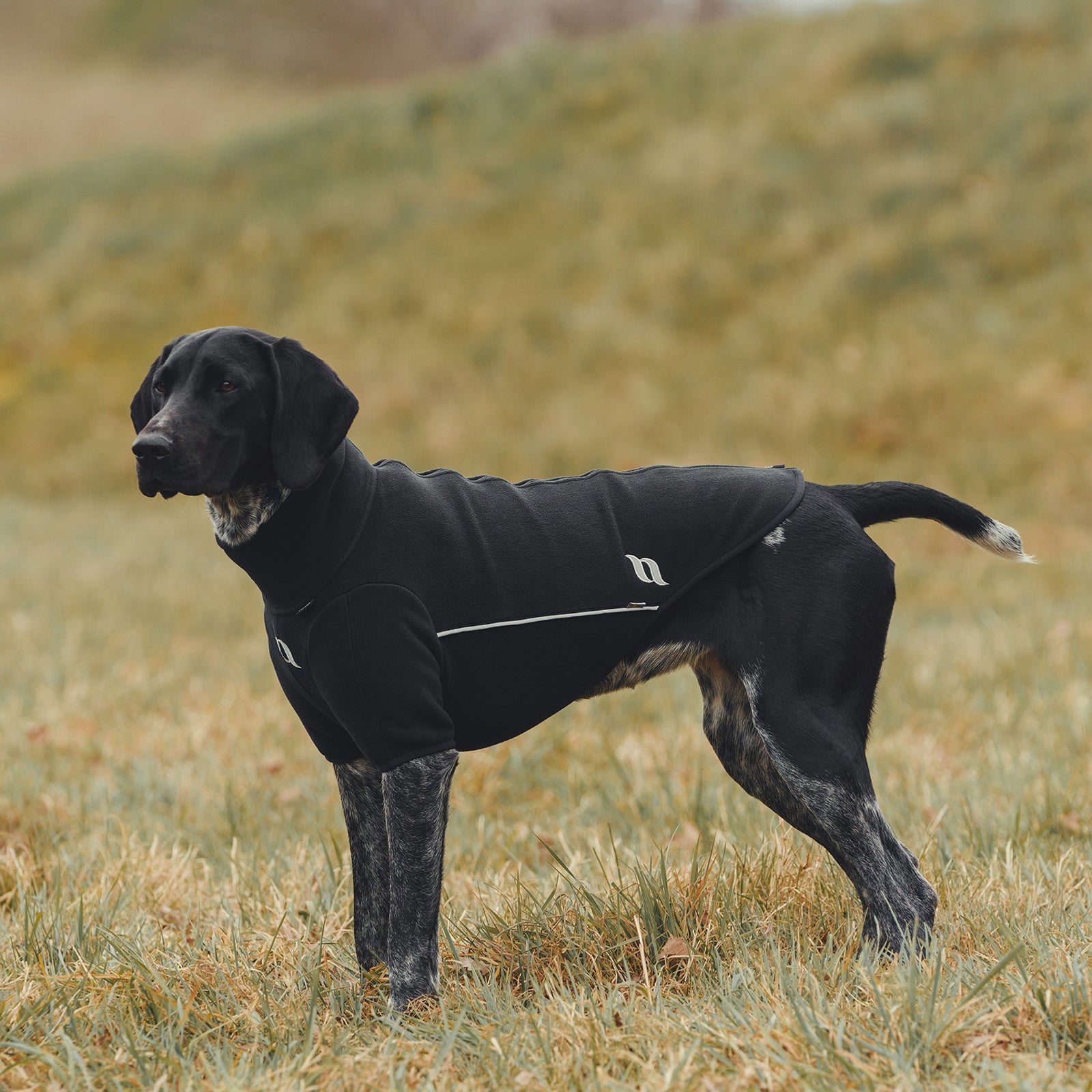 undefined Back on Track Cassie All-Weather Jumper, 65-70cm Dog Accesories