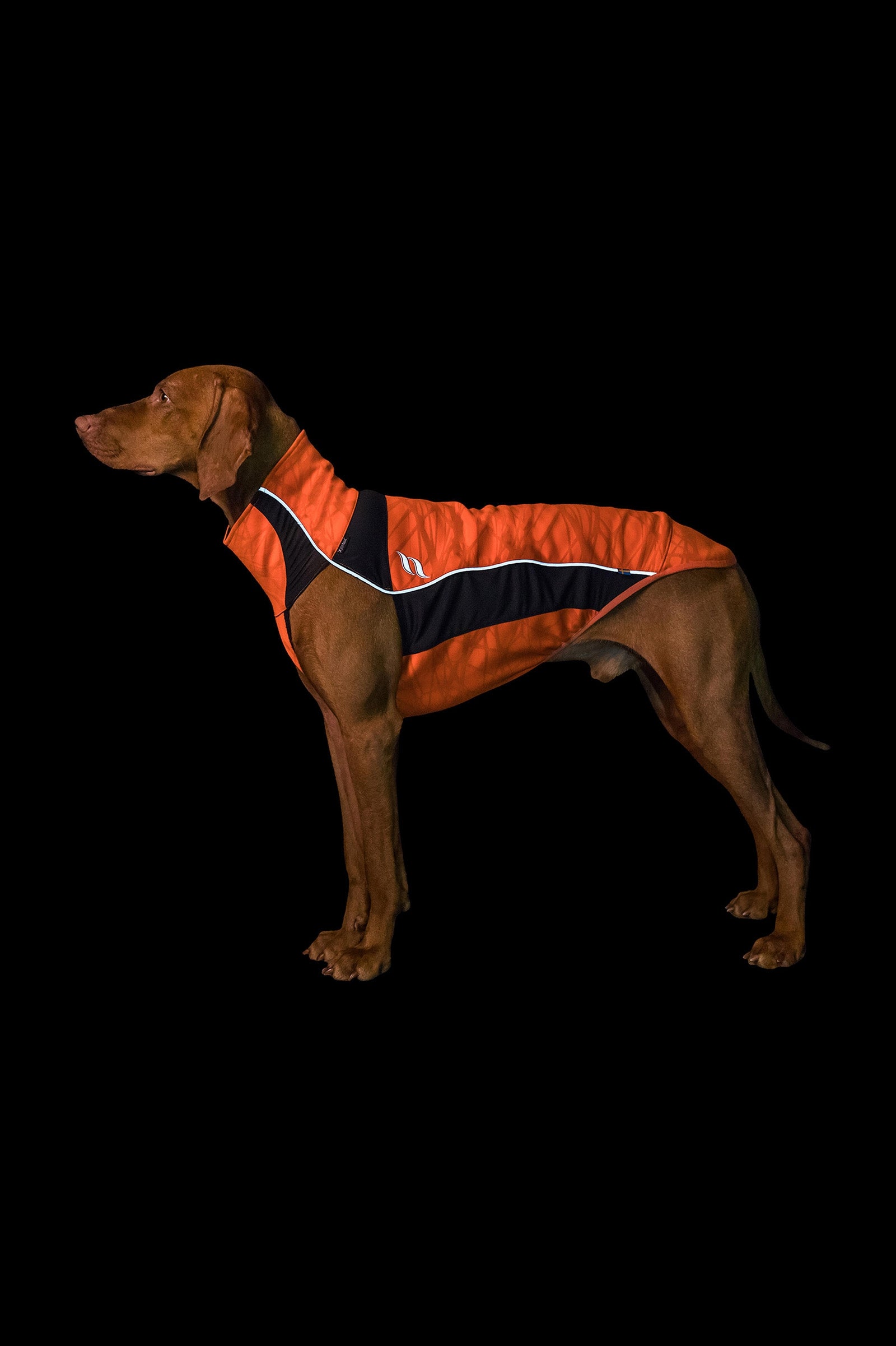 Back on Track Eddie High-Visibility Hundtröja, 40-45cm Hund