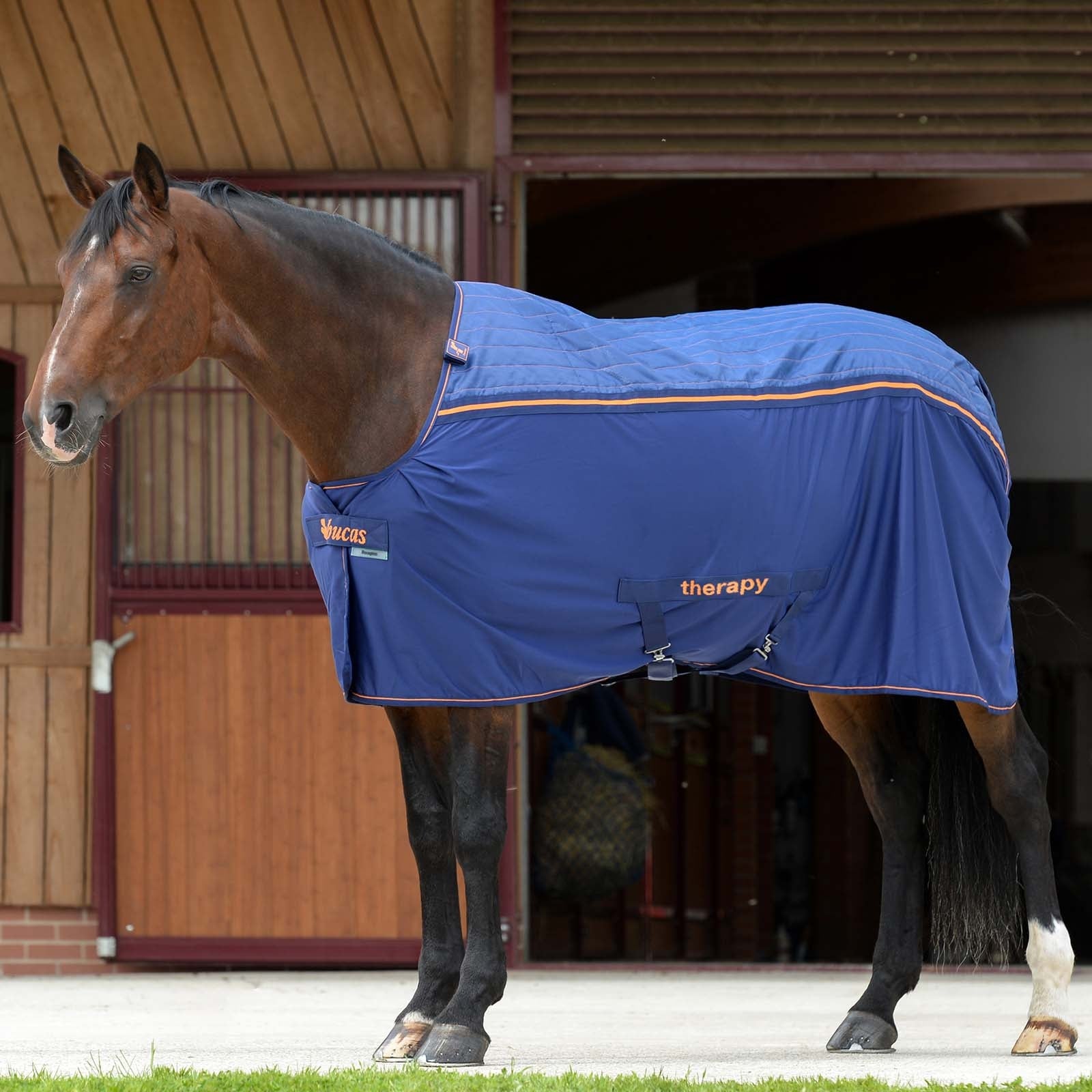 Bucas Therapy Cooler Big Neck Hestedækken