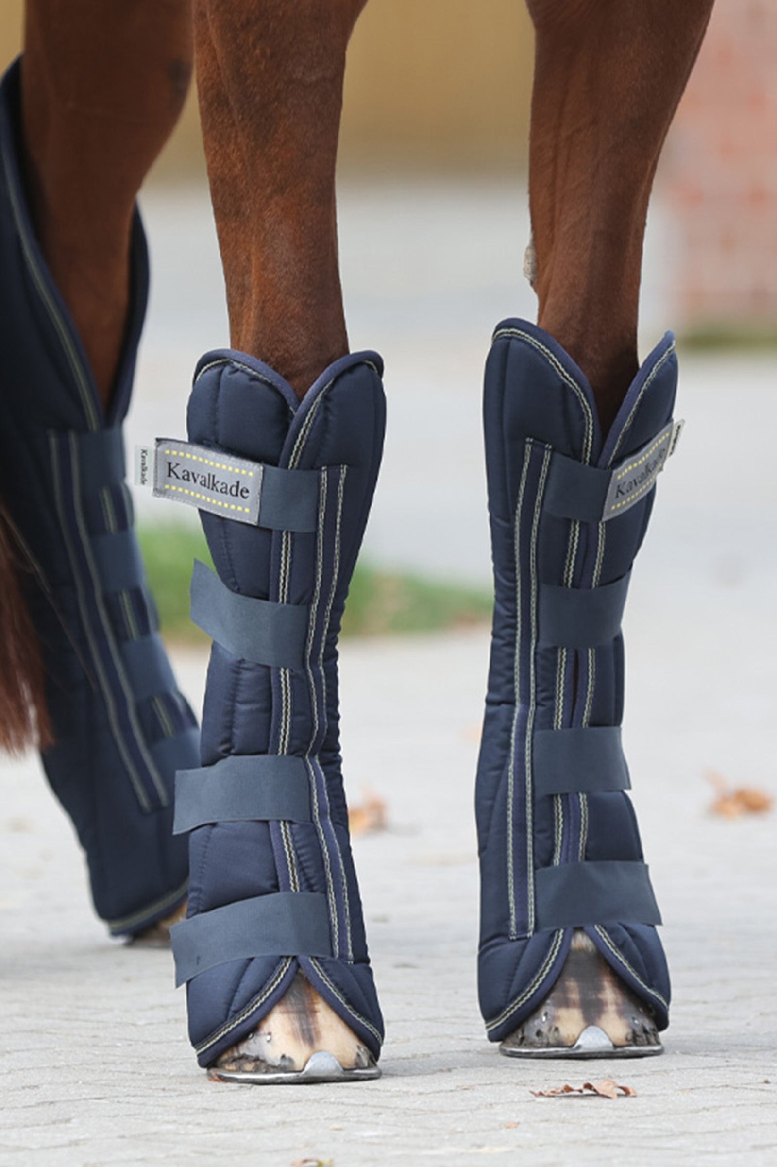 Kavalkade Montreal transportgamacher (sæt med 4) Leg & Hoof Protection