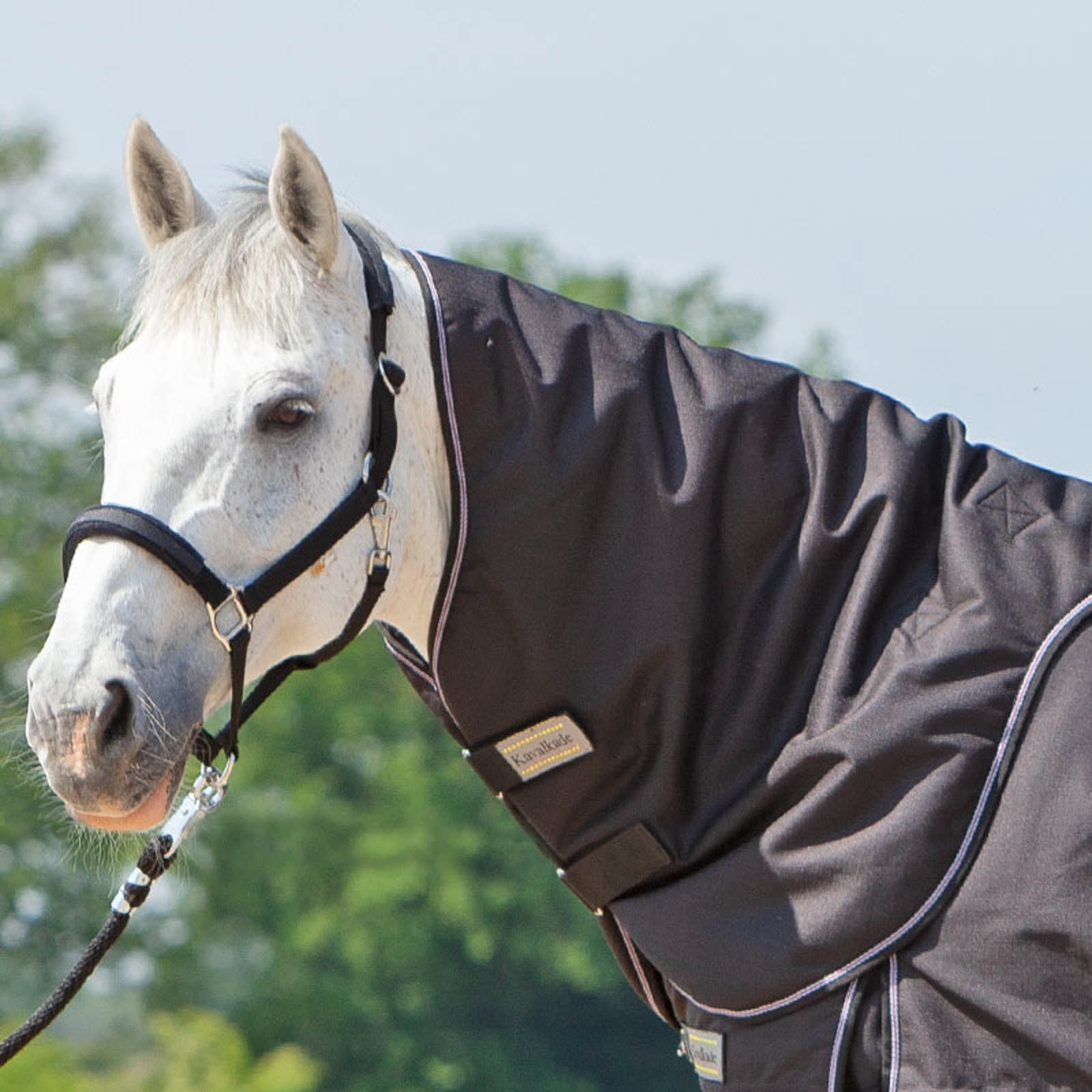 Kavalkade Hals til Alaska IV, 100 gr Hestedækken