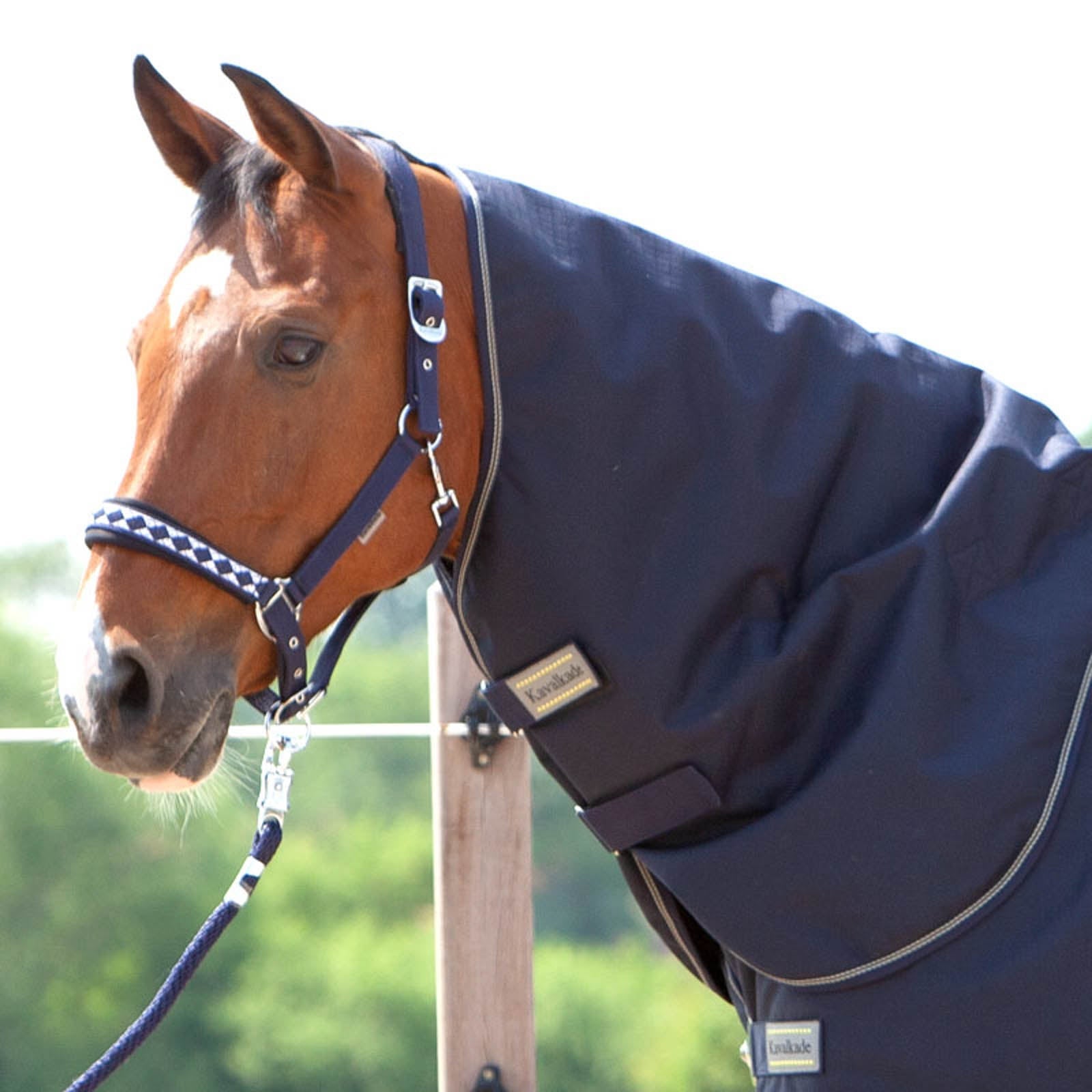 Kavalkade Hals Montreal Regndækken, 100 gr Hestedækken