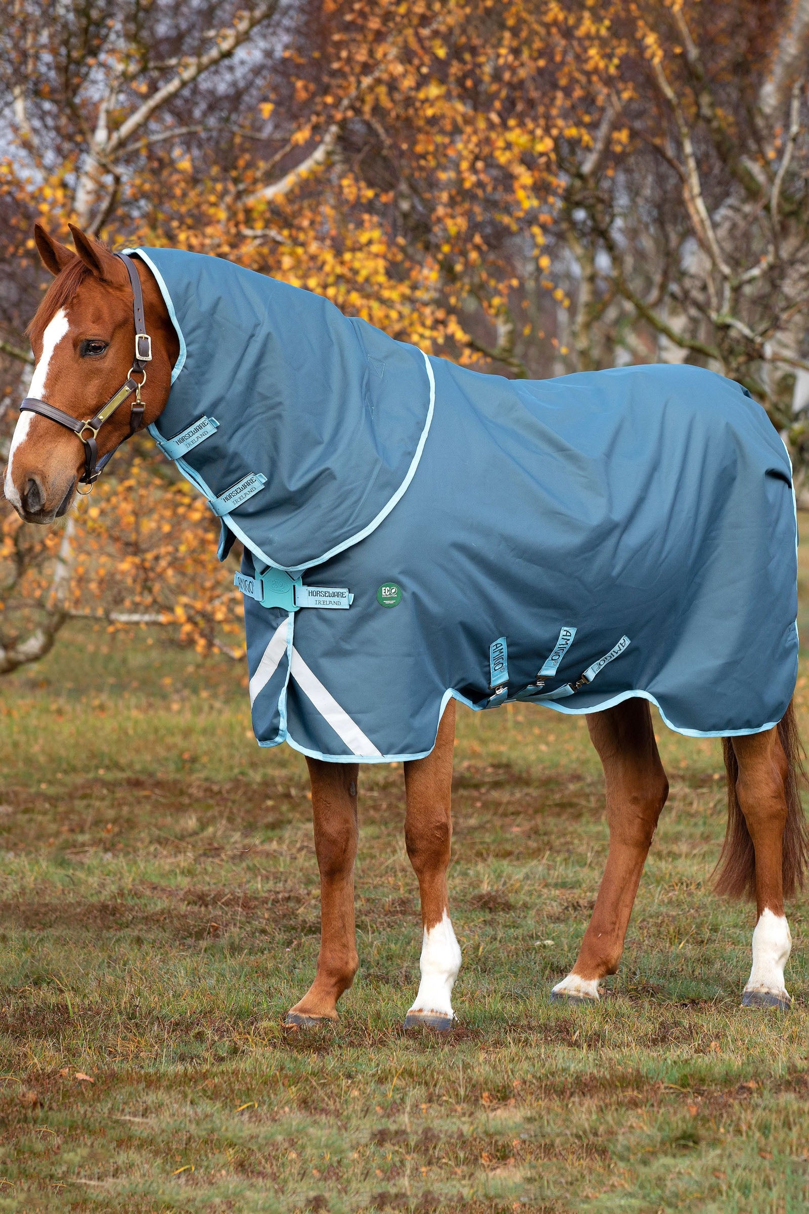 Horseware Amigo AmEco 12 Plus incl. Detachable Hood, 250g Horse Rugs