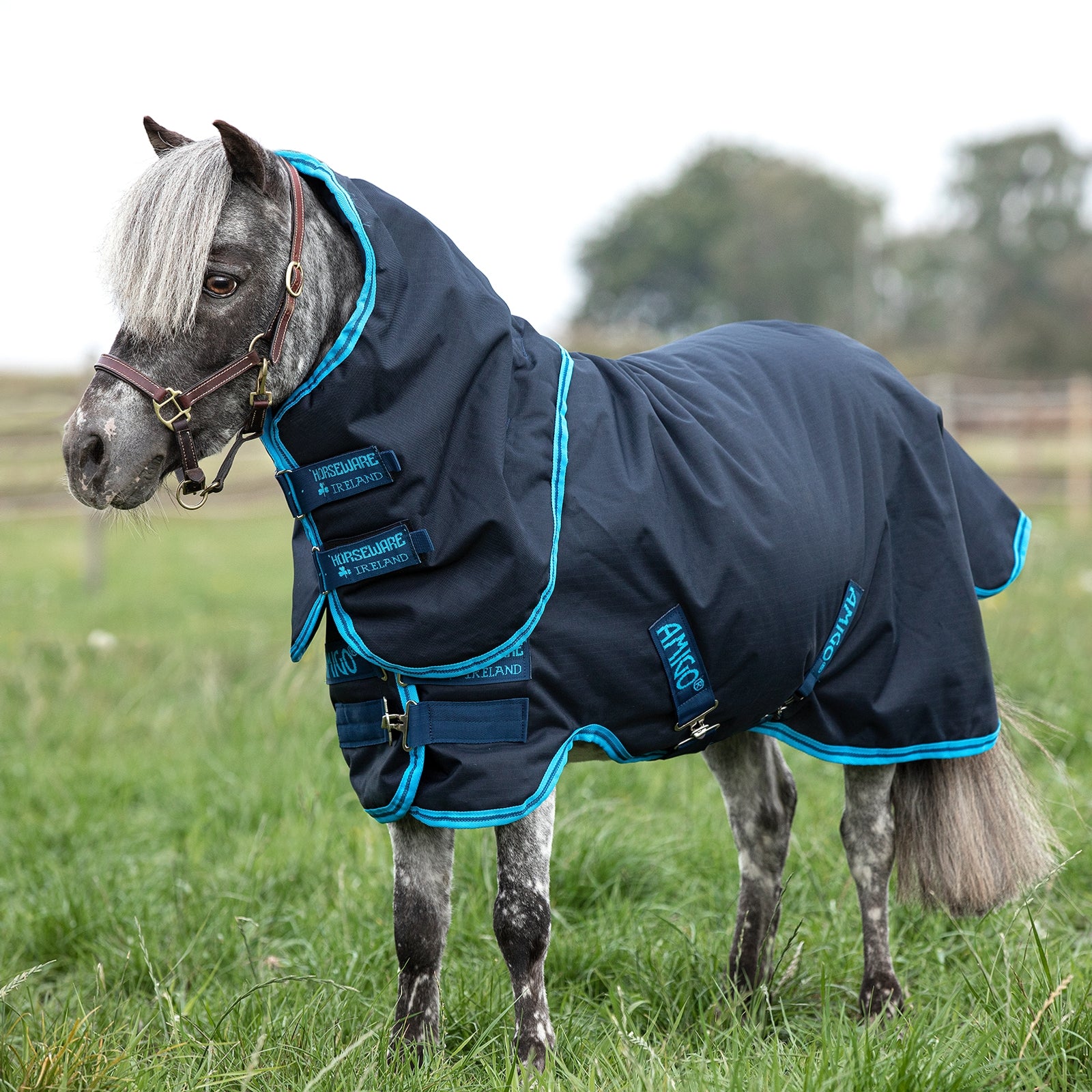 Horseware Amigo Hero 6 Petite Plus Overgangsdækken inkl. Aftagelig Hals, 200 gr Hestedækken