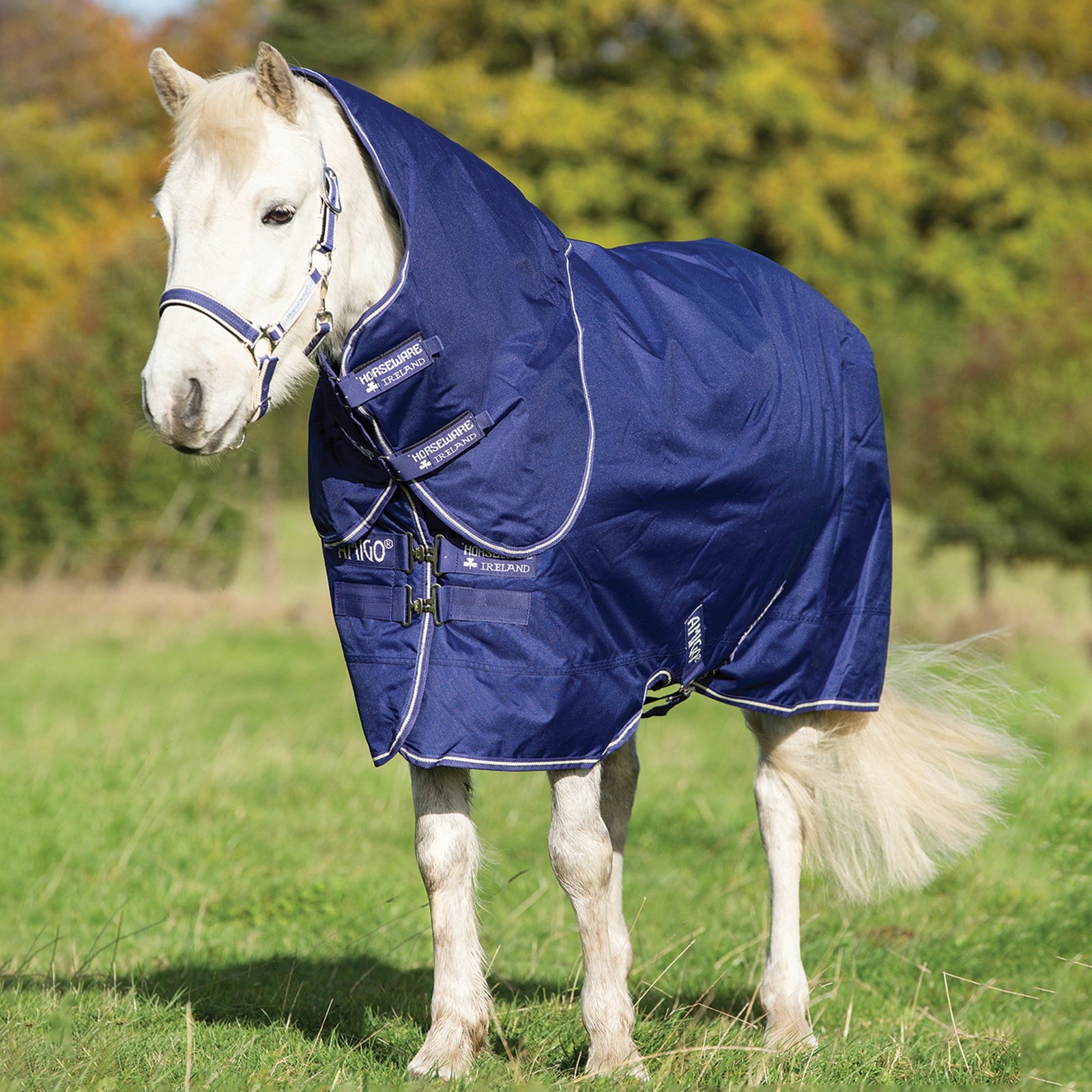 Horseware Amigo Hero 900 Plus Pony inkl. aftagelig Hals, 200 gr Hestedækken