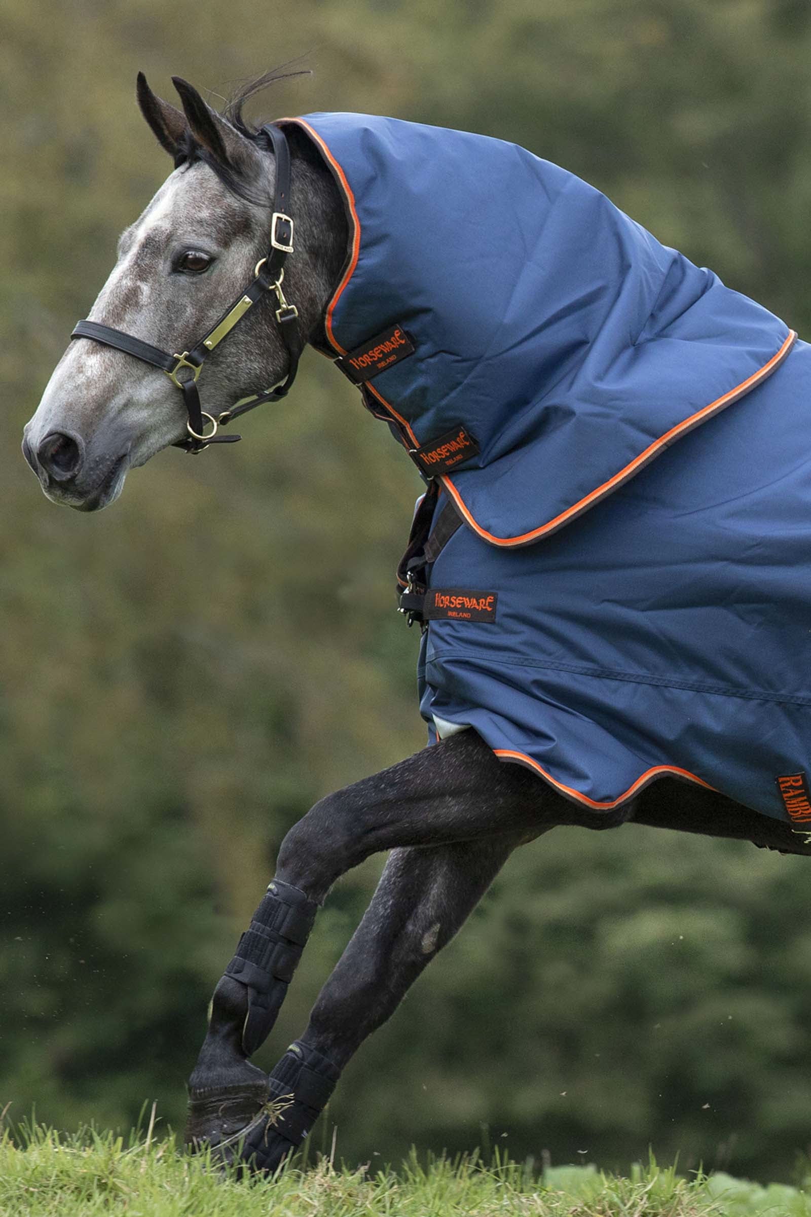 Horseware Rambo Duo Hood, 50g Hestedækken
