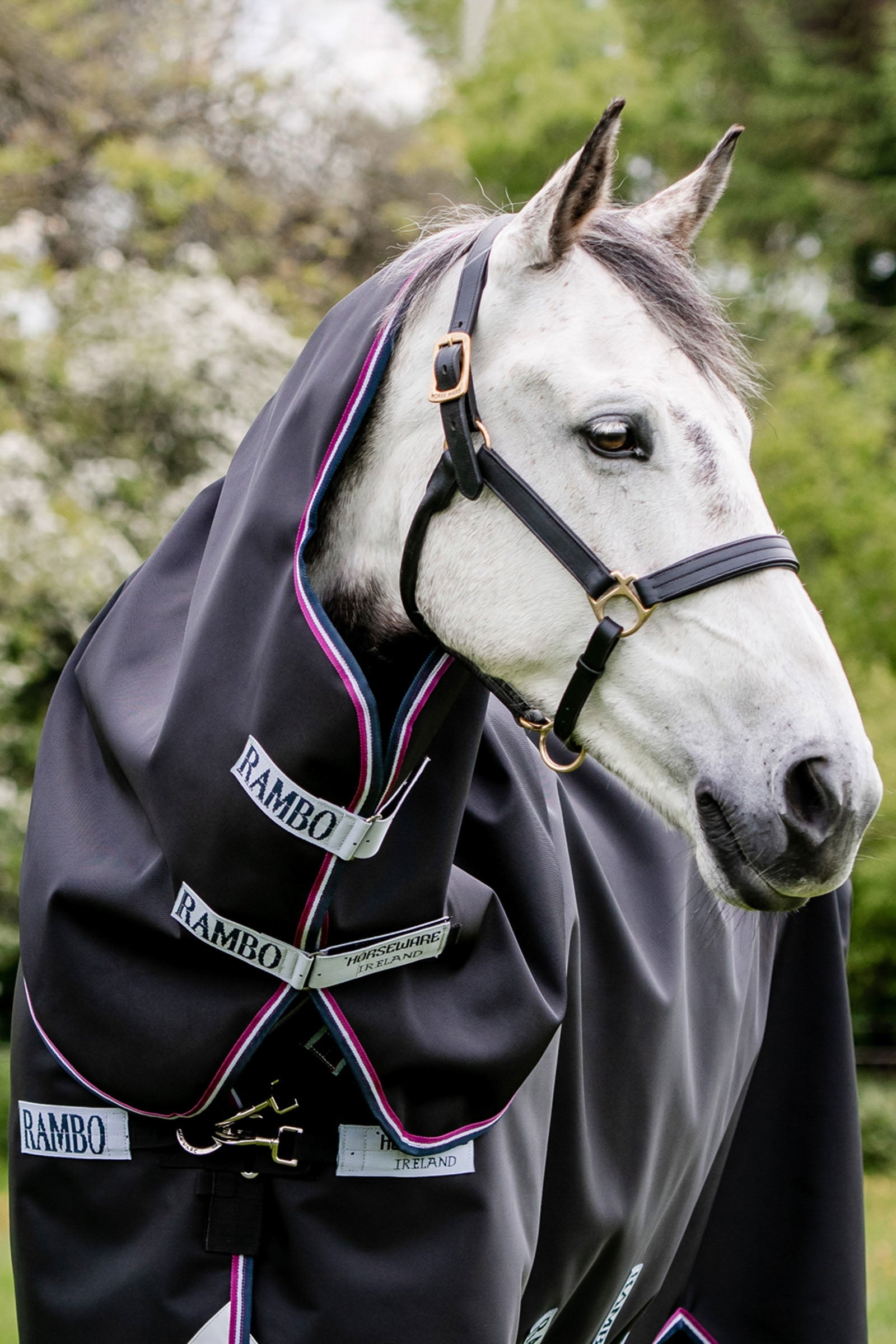 Horseware Rambo Supreme Hals, 0 gr Hestedækken