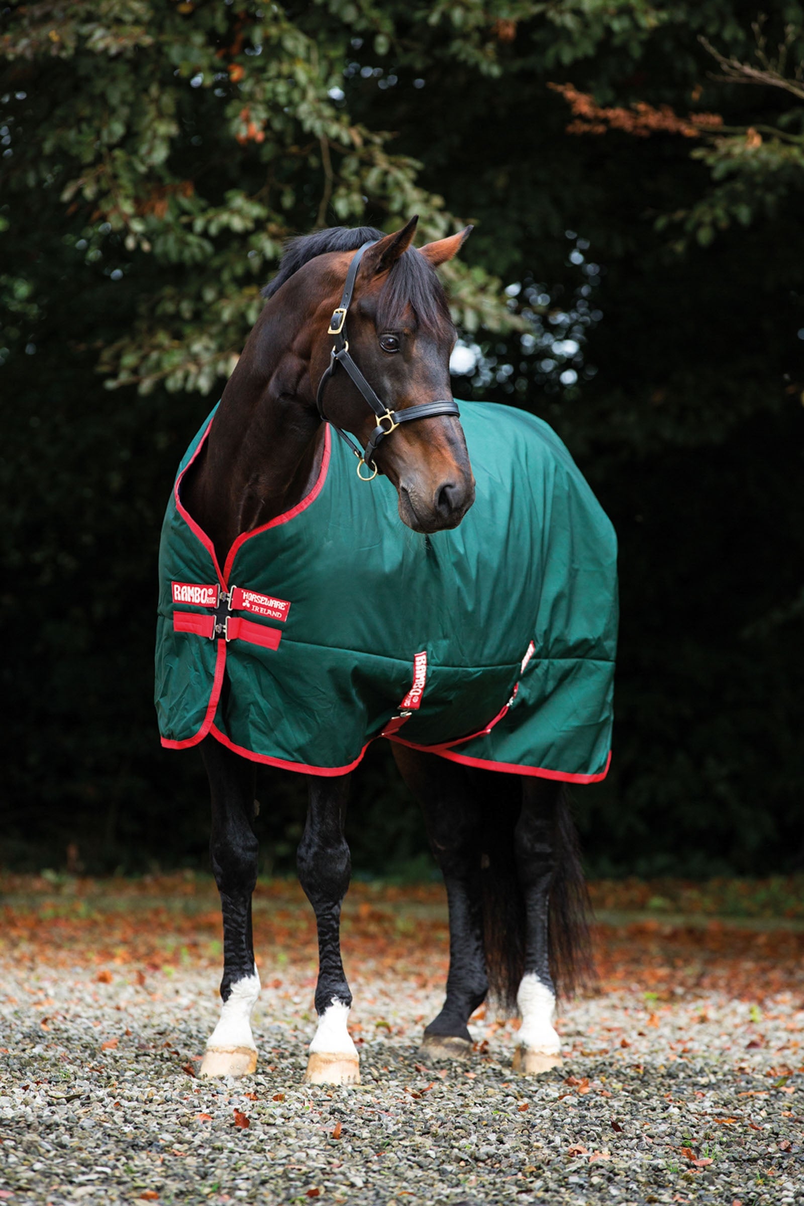 Horseware Rambo Original Regndækken, 0 gr Hestedækken