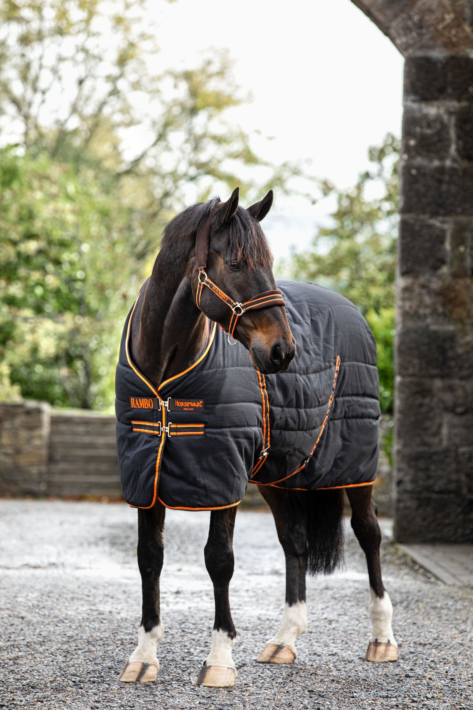 Horseware Rambo Stalddækken, 200 gr Hestedækken