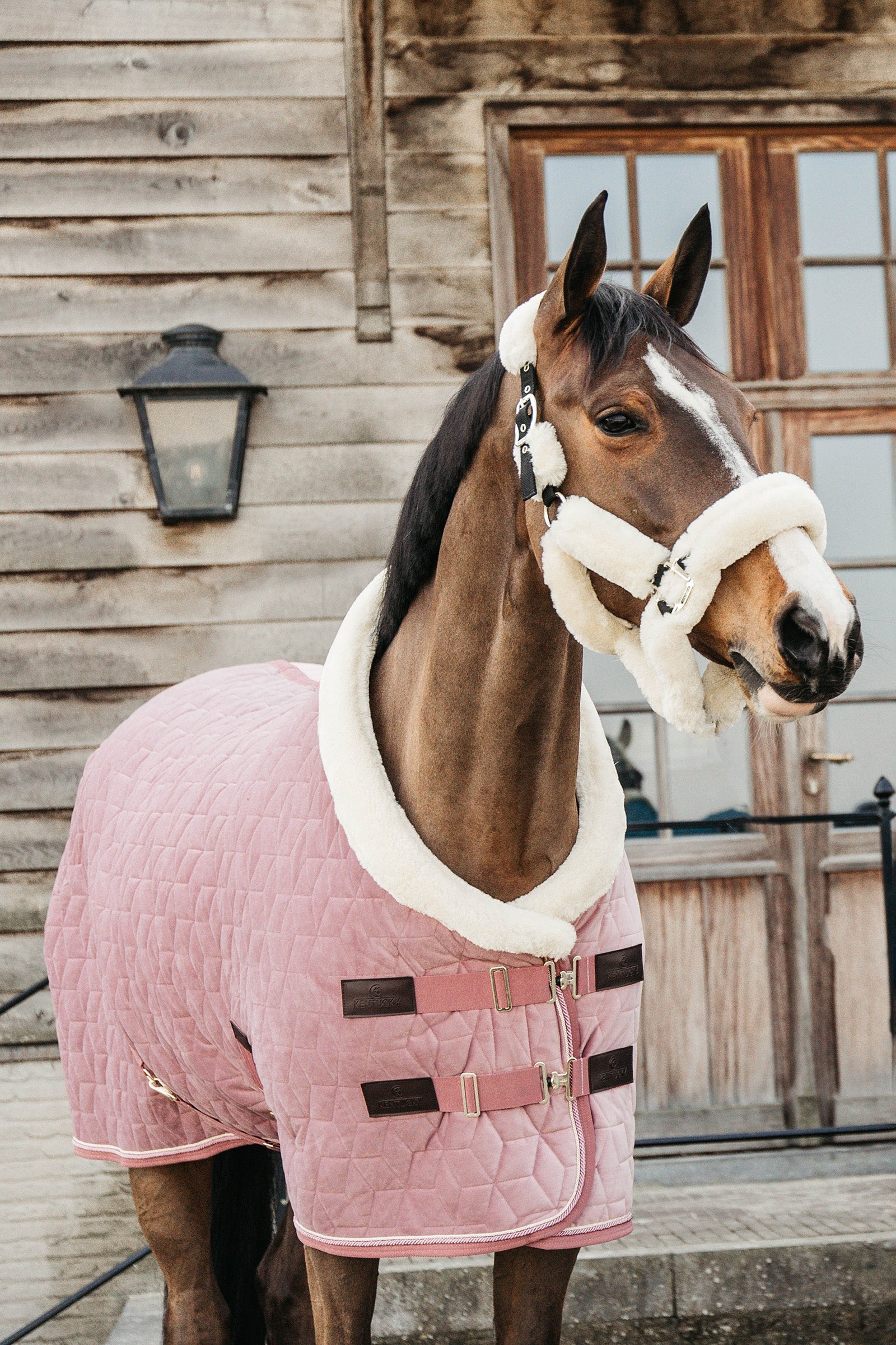 Kentucky Horsewear Kentucky Velvet Showdækken, 160 gr Hestedækken