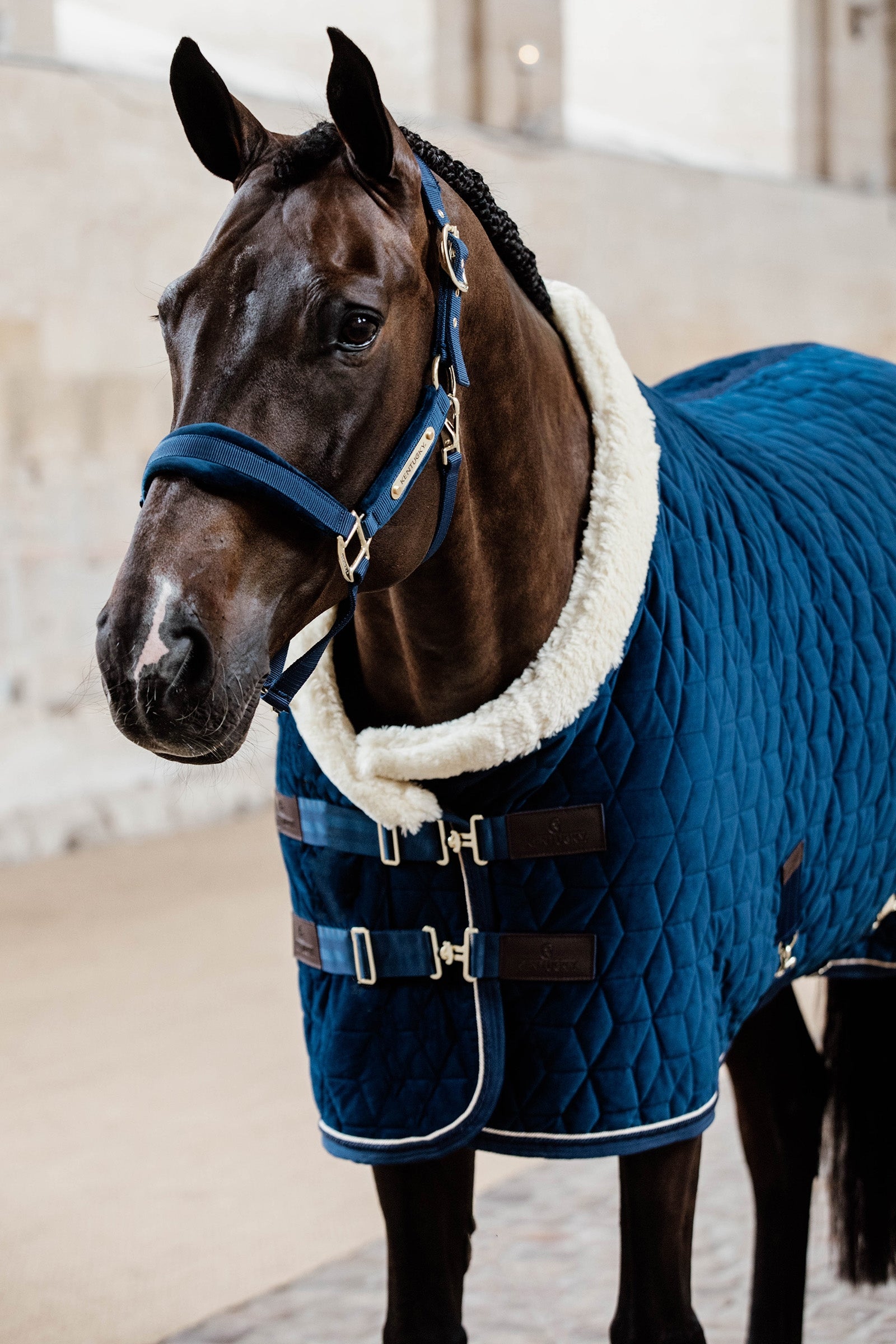 Kentucky Horsewear Velvet Show Rug, 160g Horse Rugs