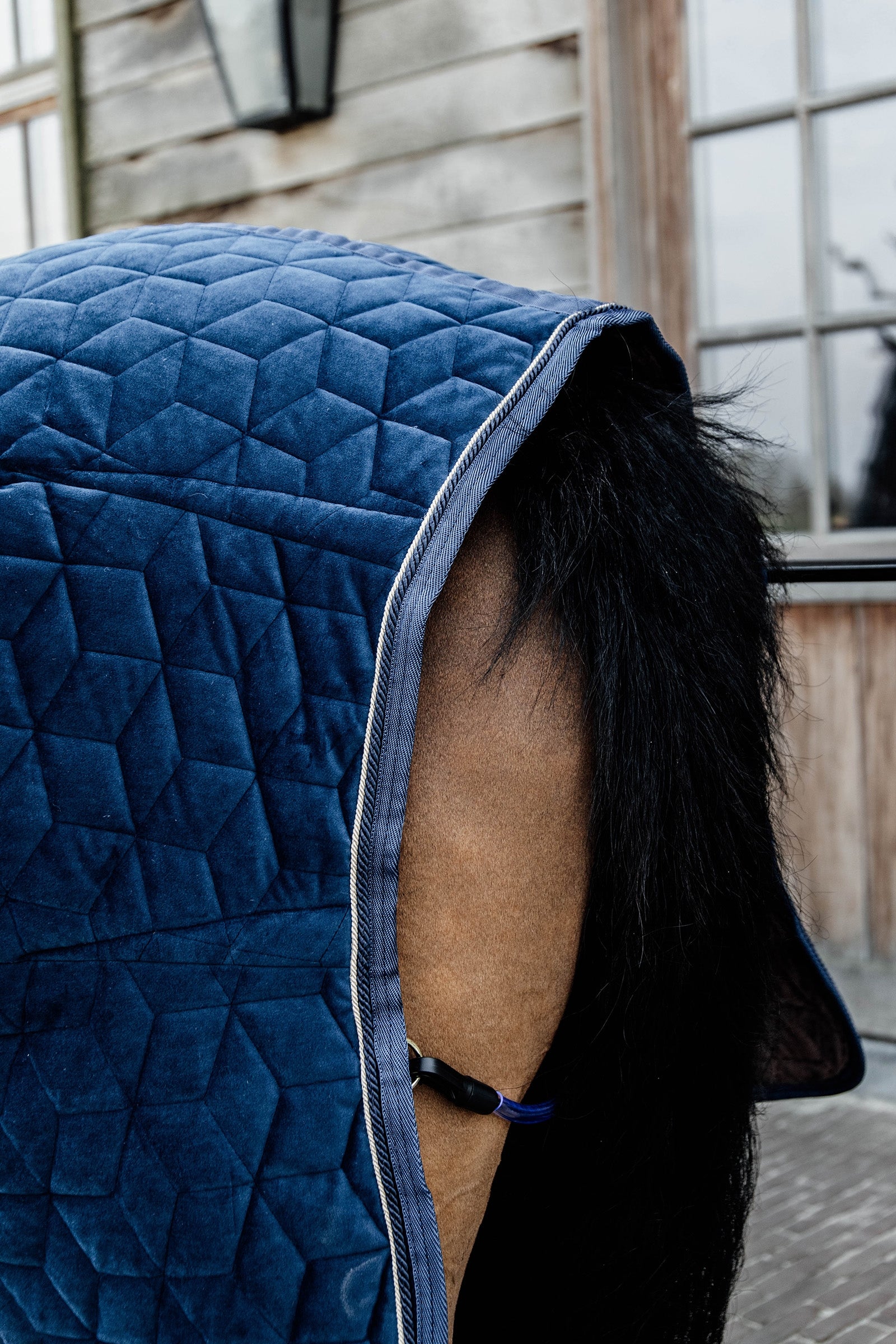 Kentucky Horsewear Velvet Show Rug, 160g Horse Rugs