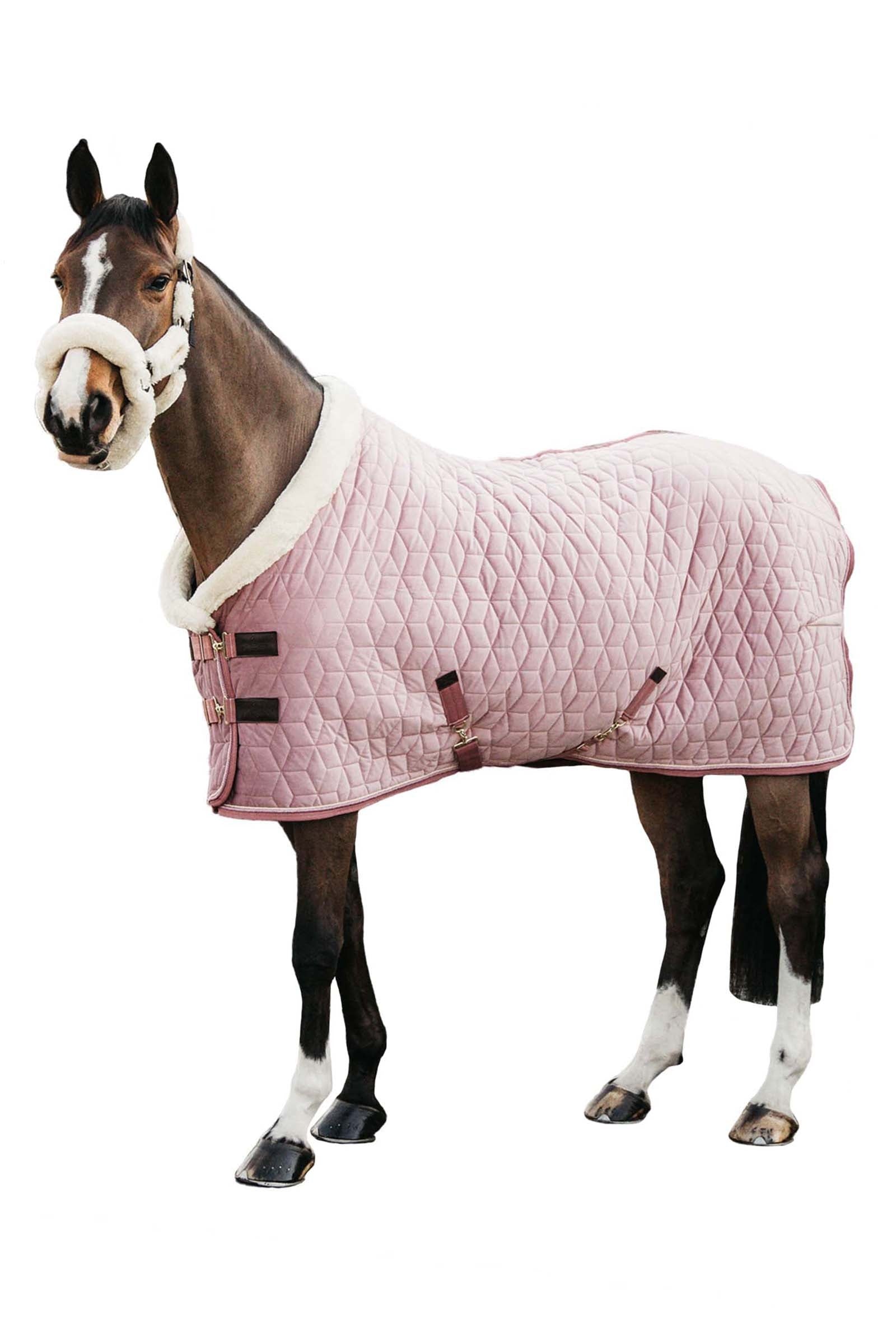 Kentucky Horsewear Velvet Show Rug, 160g Horse Rugs