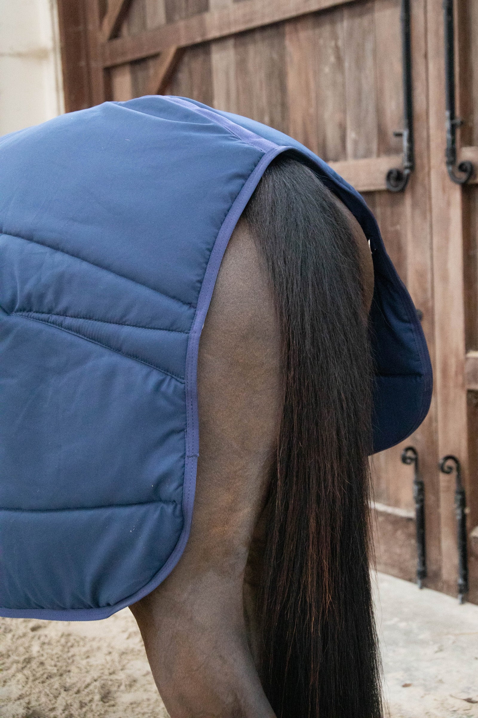 Kentucky Horsewear Classic Stable Rug, 200g Horse Rugs