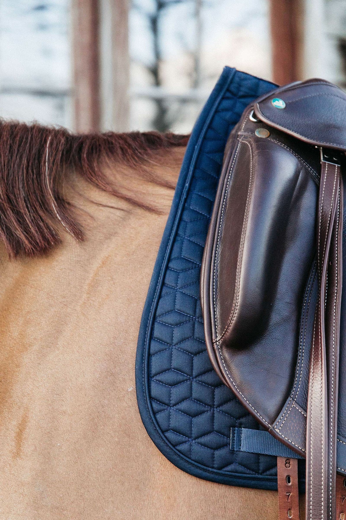 Kentucky Horsewear Basic Dressage Saddle Pad Saddle Pads