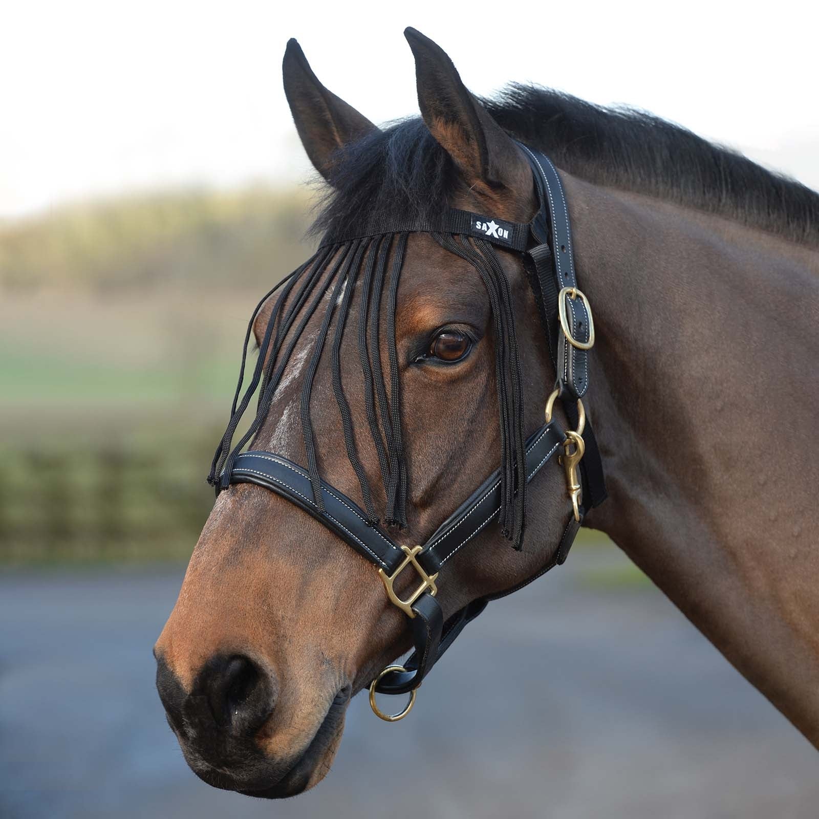 Saxon Fly Fringes Antifly Protection for Horses