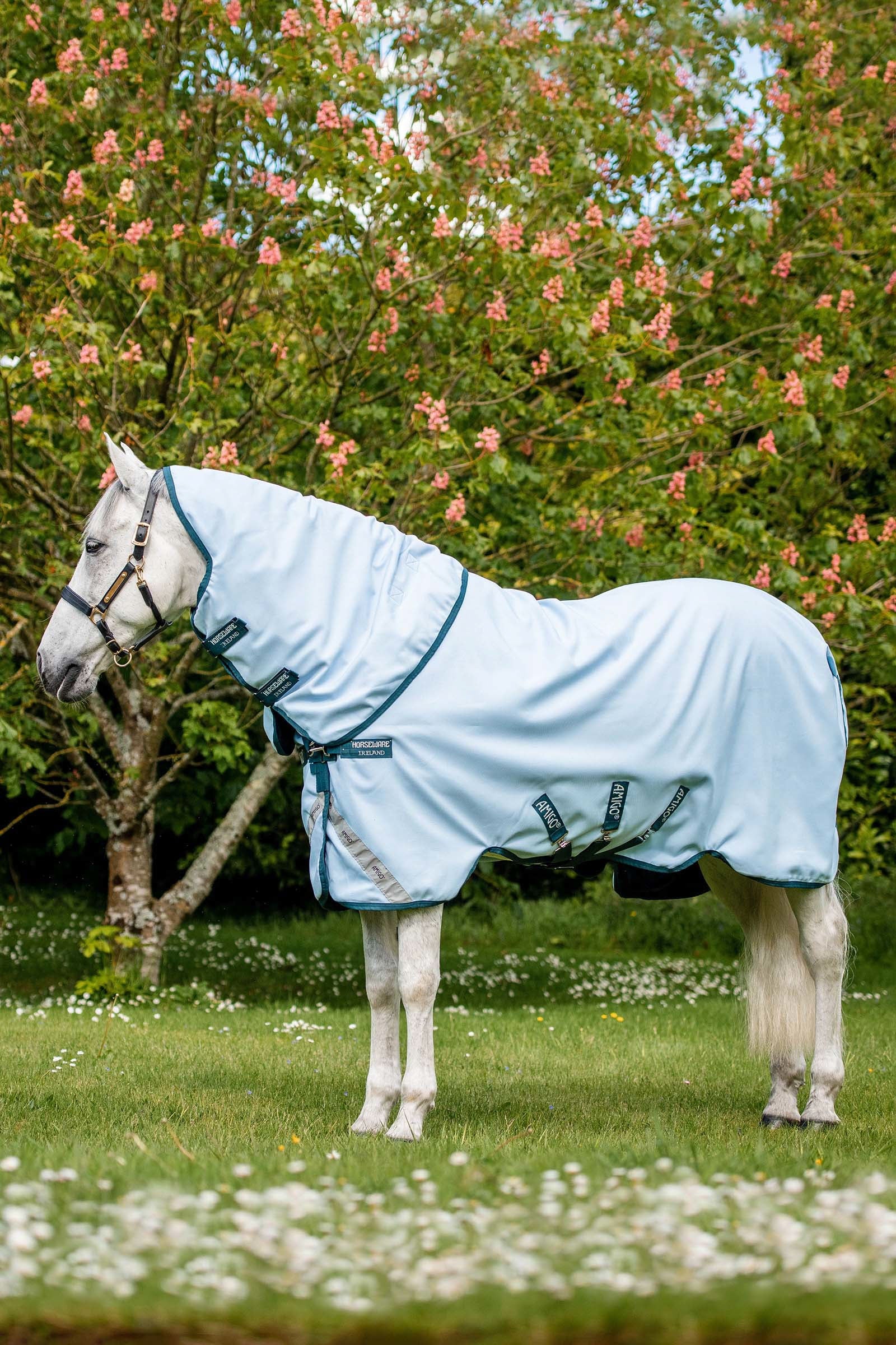 Horseware Amigo Plant Dye overgangsdækken, 50 gr Hestedækken