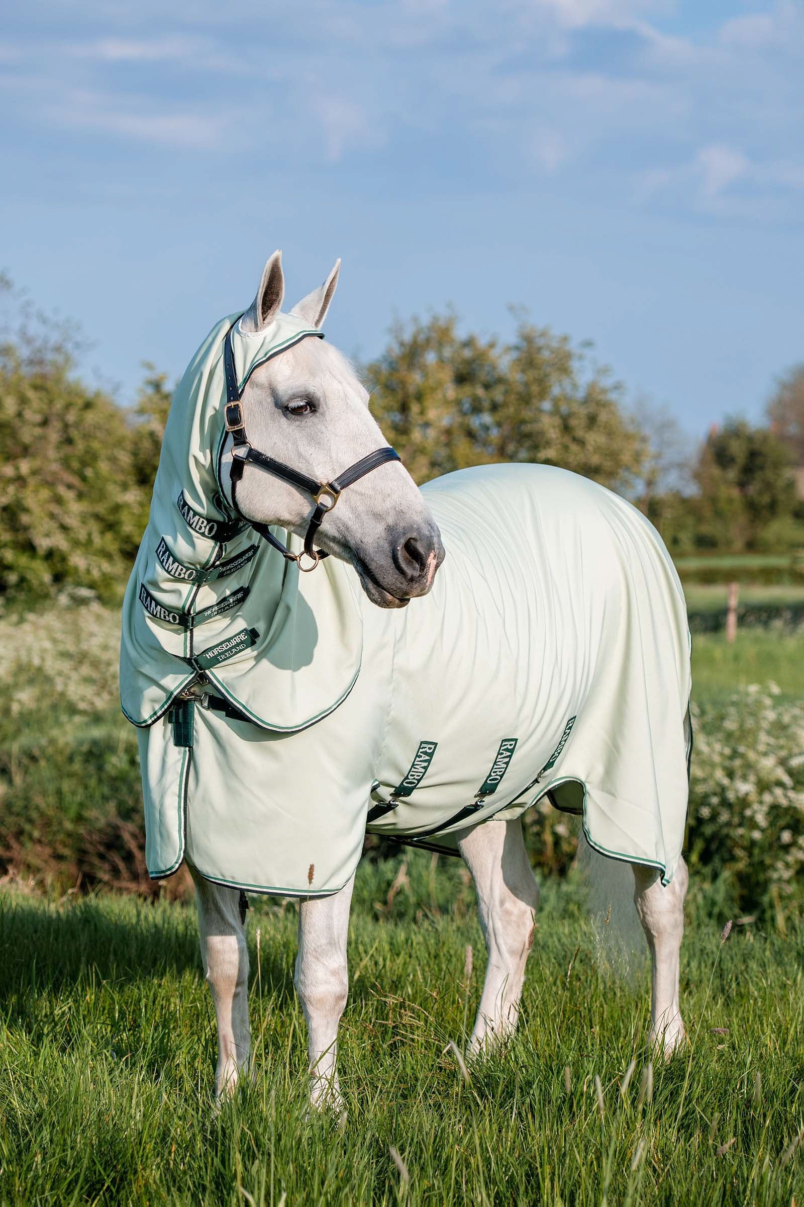 Horseware Rambo Hoody XL Hestedækken
