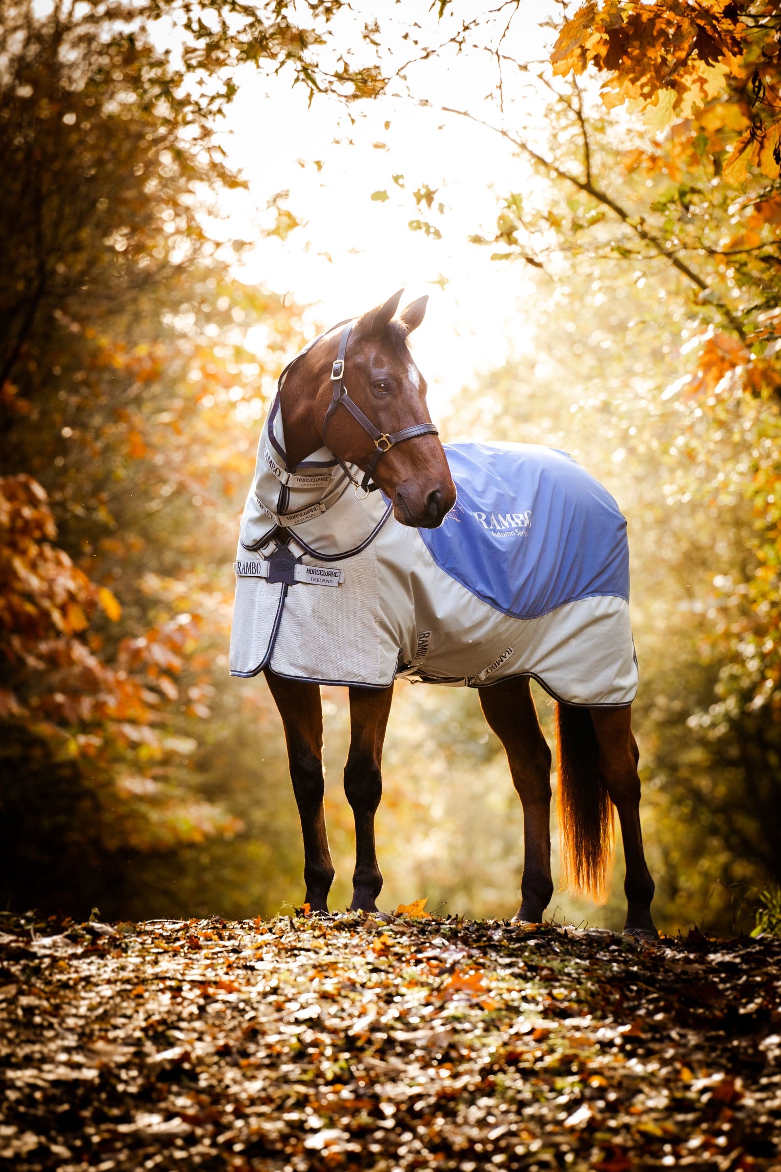 Horseware Rambo Autumn Series udedækken med underdækken (0 g / 100 g) Hestedækken