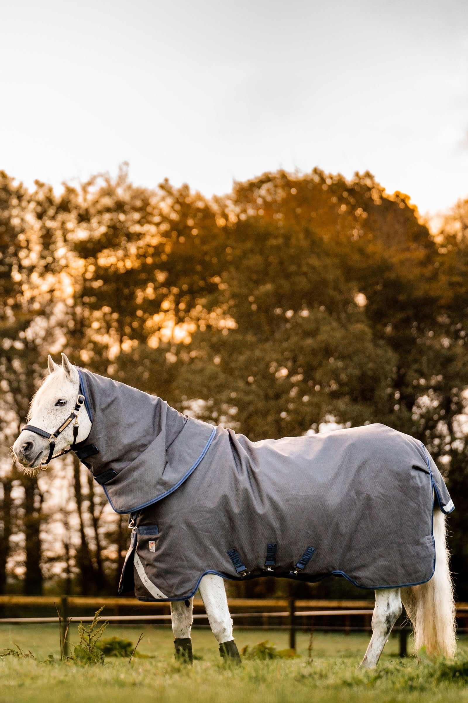 Horseware Rhino Hexstop Plus Vari-Layer Vinterdækken, 250 gr Hestedækken