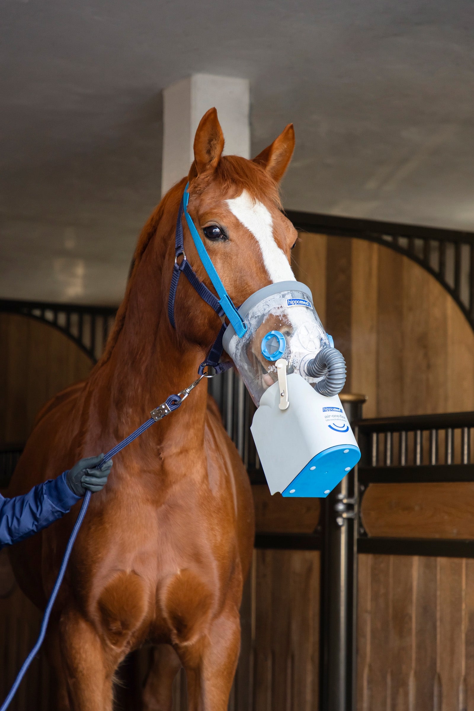 Hippomed AirOne Flex Battery Ultrasound Inhaler with Mask, Warmblood Horse Health Care