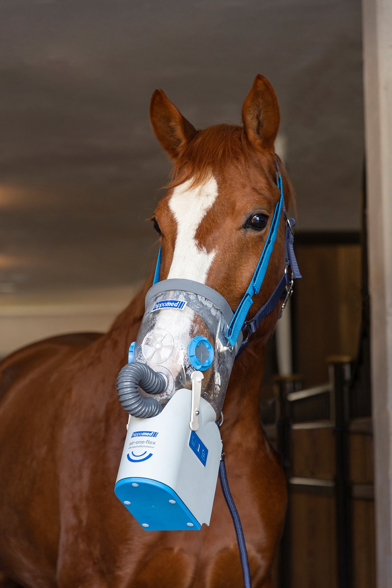 Hippomed AirOne Flex Battery Ultrasound Inhaler with Mask, Warmblood Horse Health Care