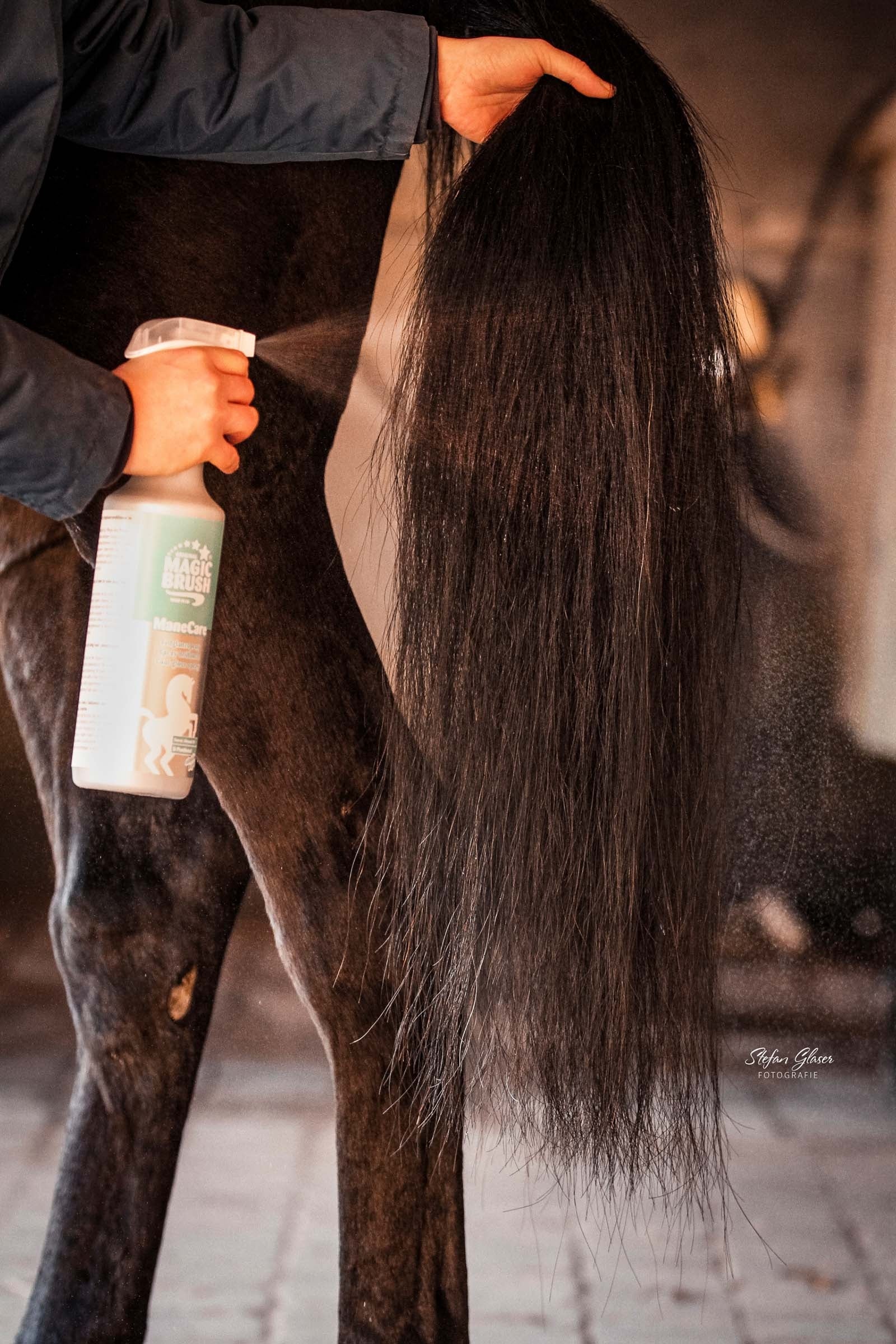 Magic Brush MagicBrush Coat Gloss Spray ManeCare, 1l Horse Health Care