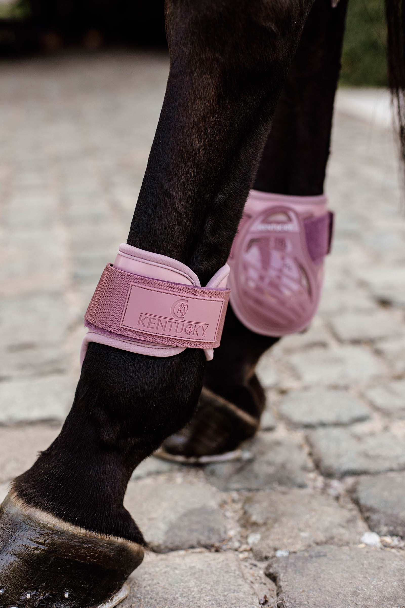 Kentucky Horsewear Young Horse Fetlock Boots Leg & Hoof Protection