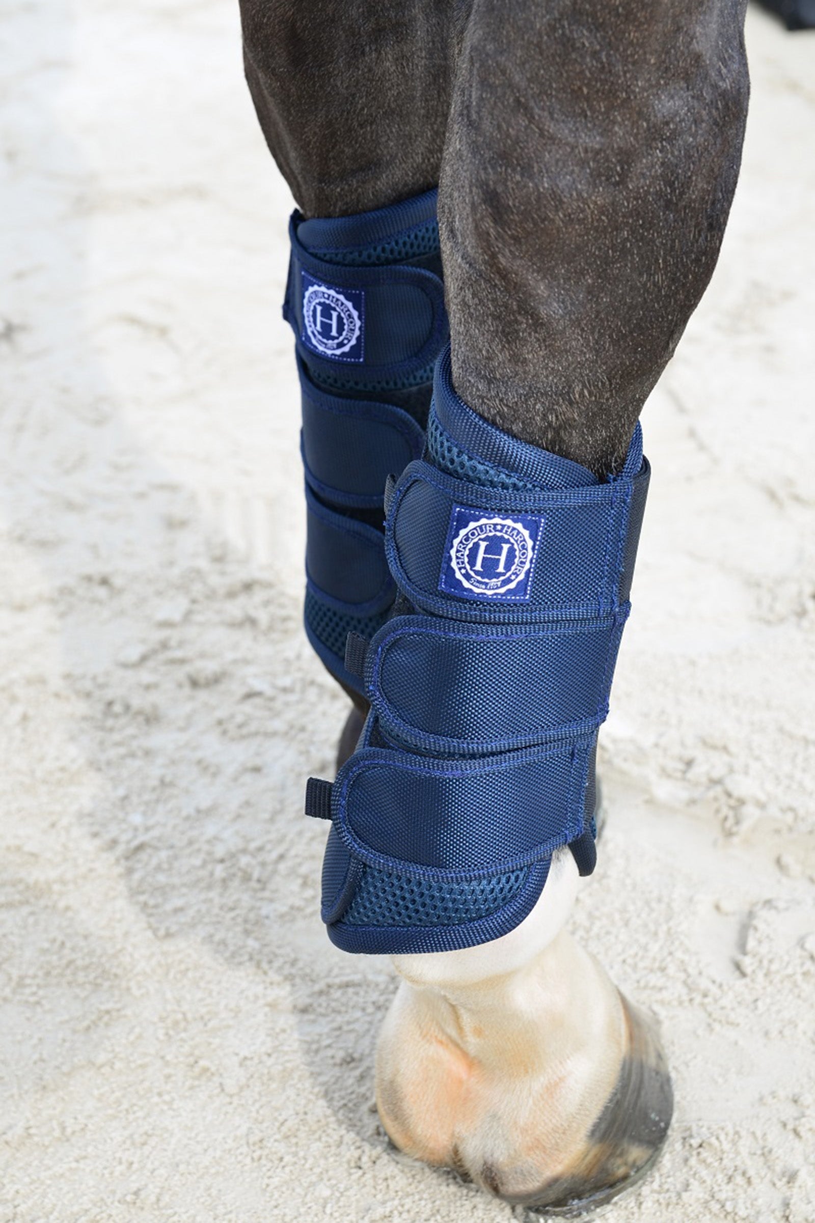 Harcour Cosmic Mesh senestøvler Leg Protection & Hoof Protection for Horses