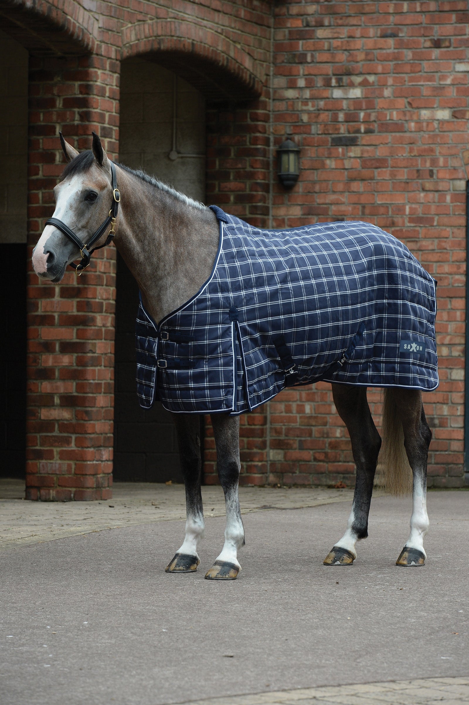 Saxon PP Stable Rug Medium, 200g Horse Rugs