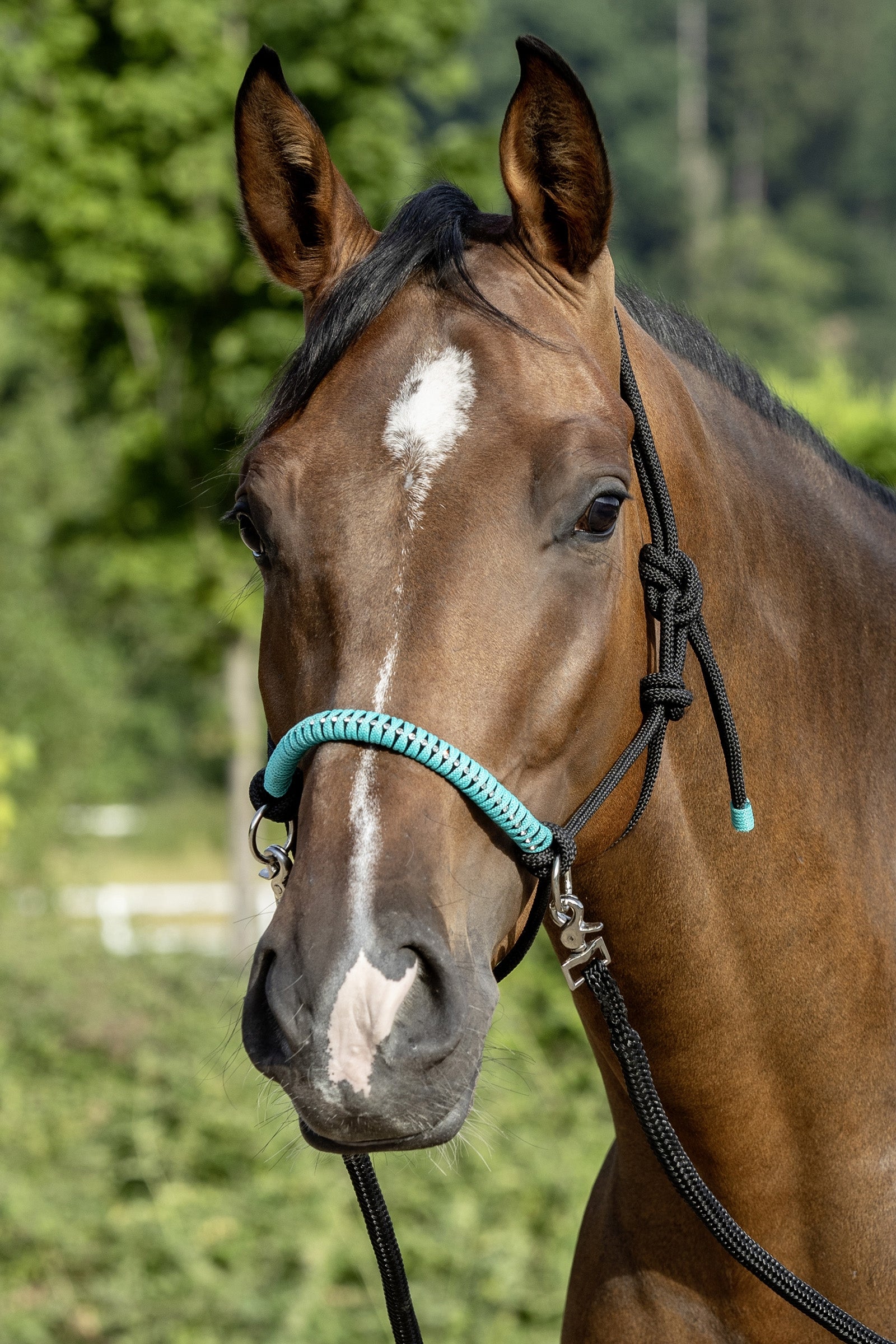 USG Knotted Rope Halter with Reins Grimer & Træktove