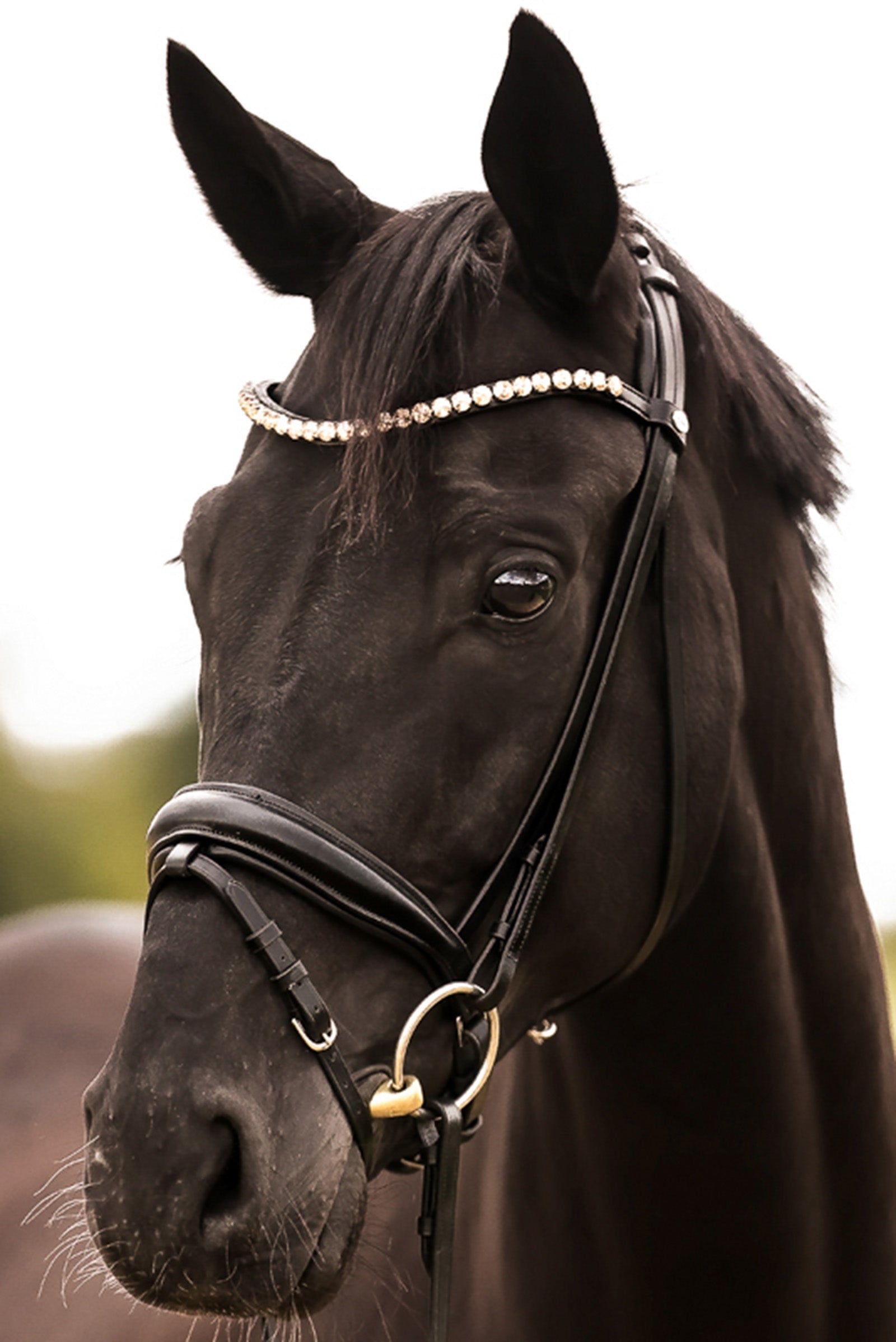 Kavalkade Fortuna KavalSH4 Bridle Trenser & tøjler