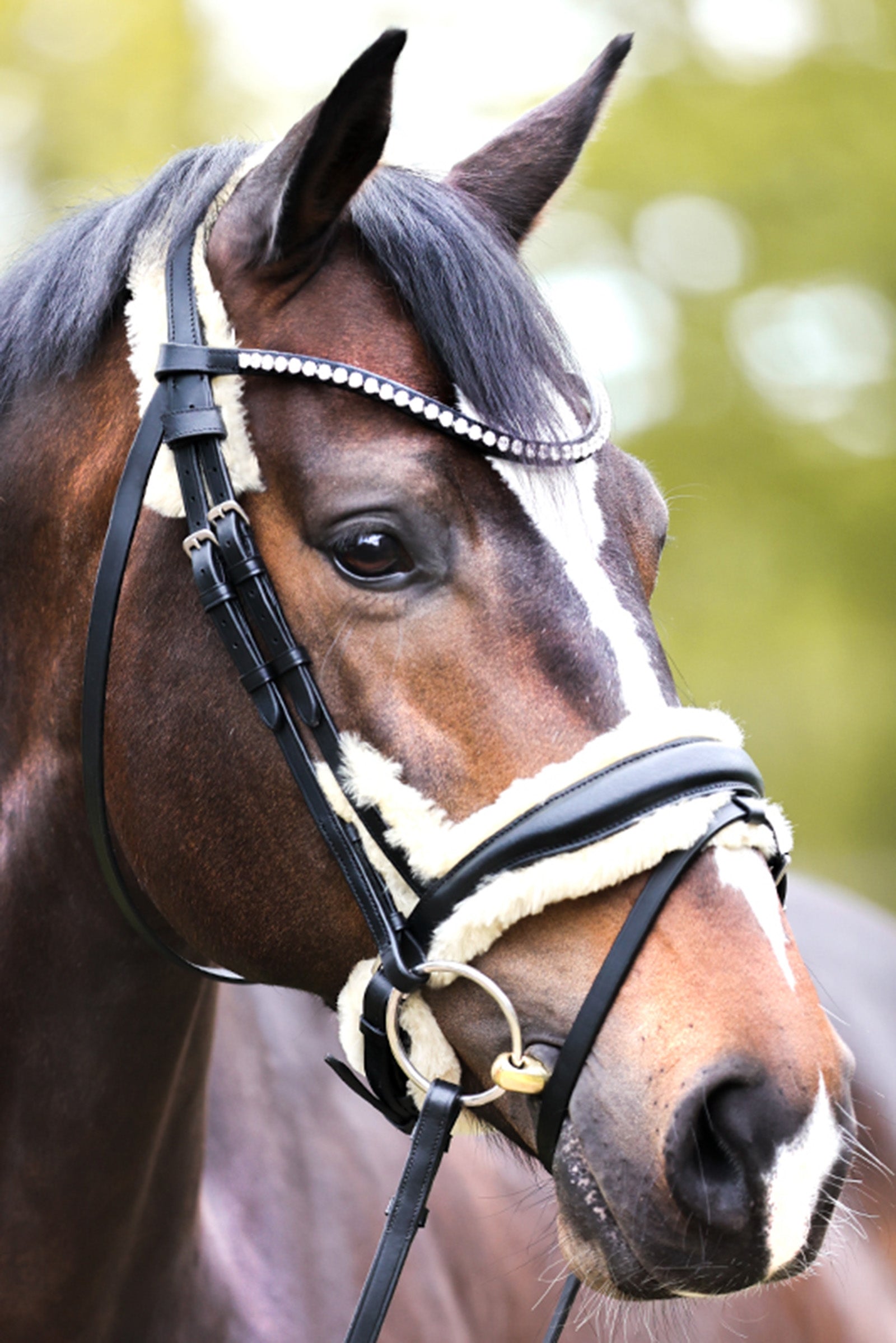 Kavalkade Joyce KavalSH4 Bridle Trenser & tøjler