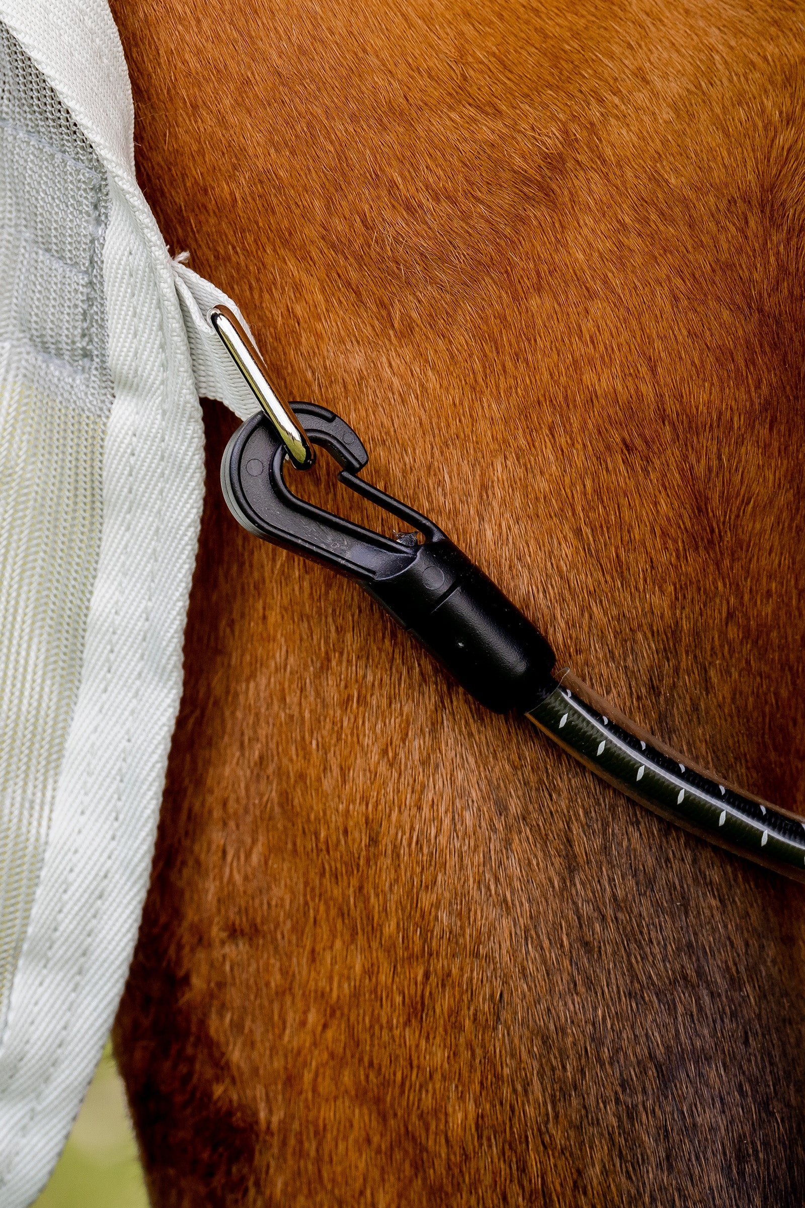 Horseware Amigo AmEco Combi Fly Rug Horse Rugs