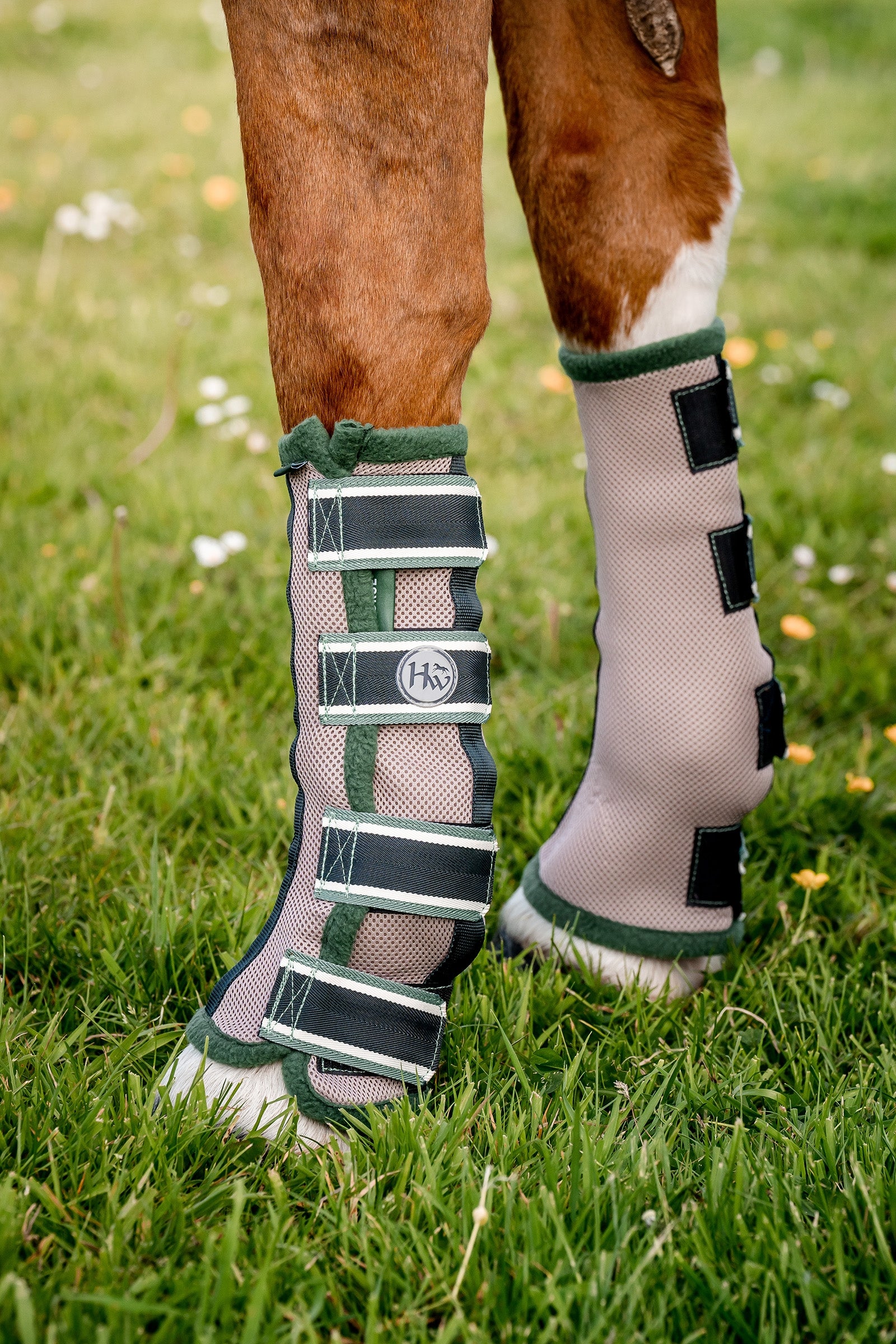Horseware anti-flue boots til heste Fluebeskyttelse