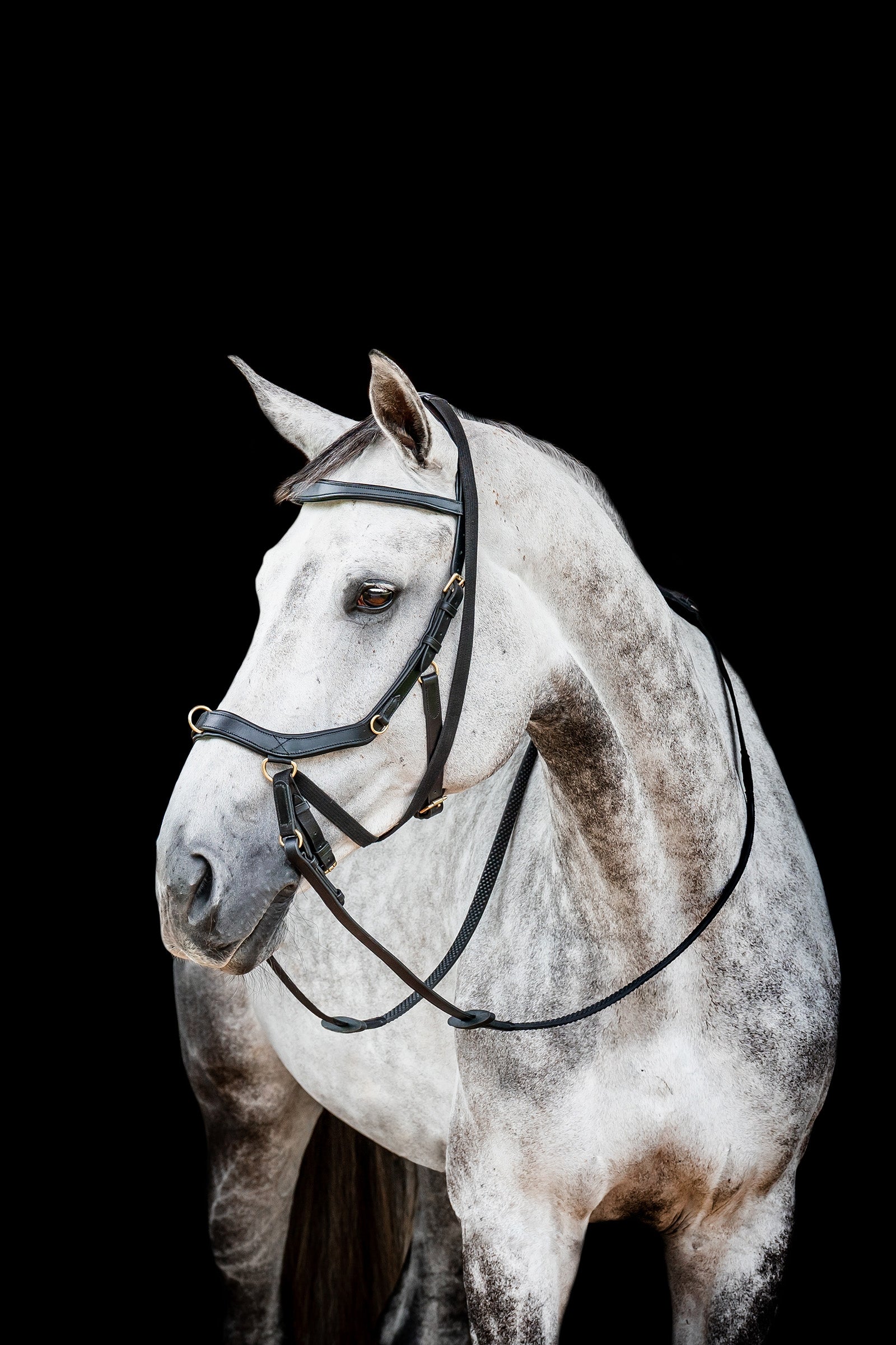 Horseware Micklem 2 Multi Trense Trenser & tøjler