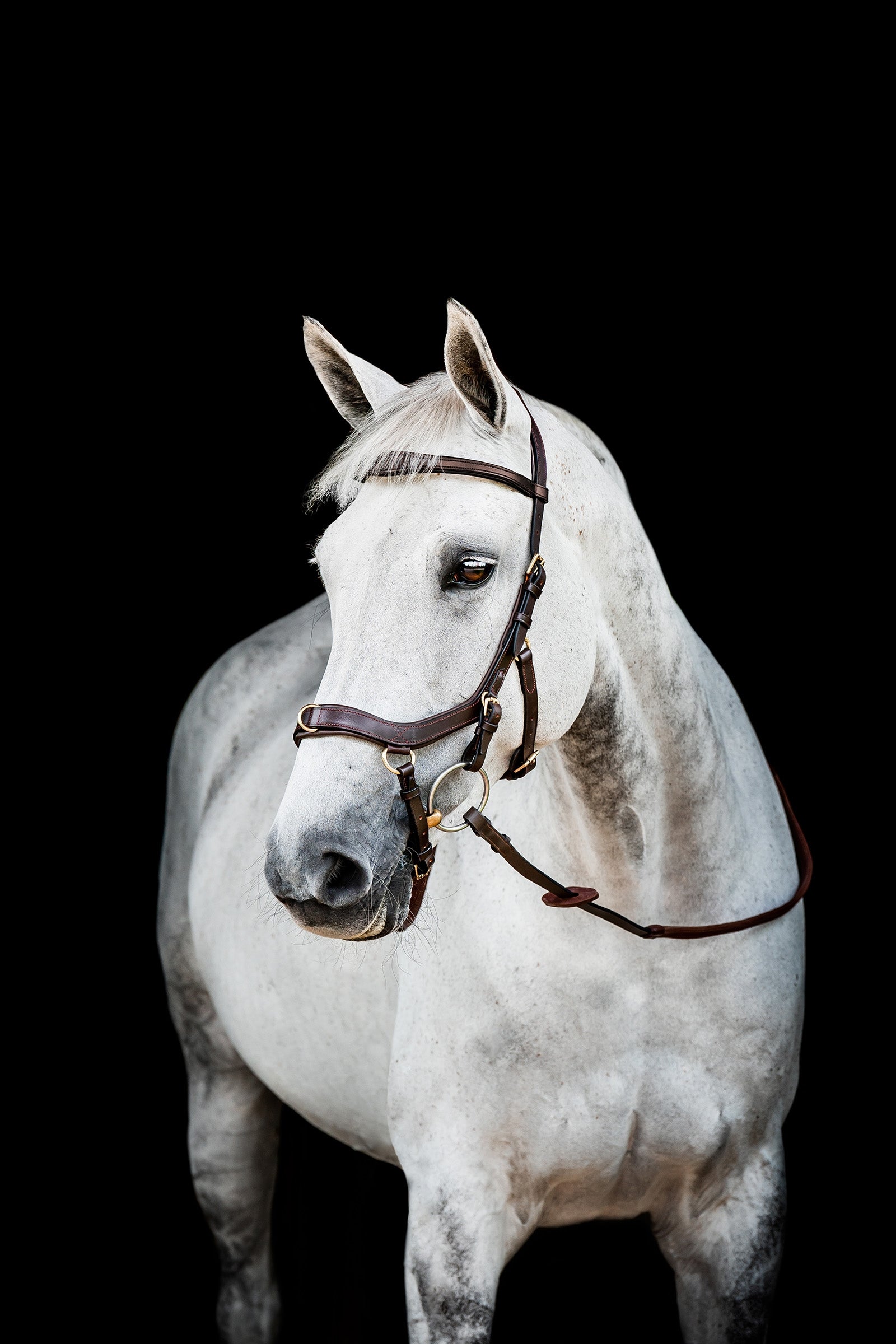 Horseware Micklem 2 Multi Trense Trenser & tøjler