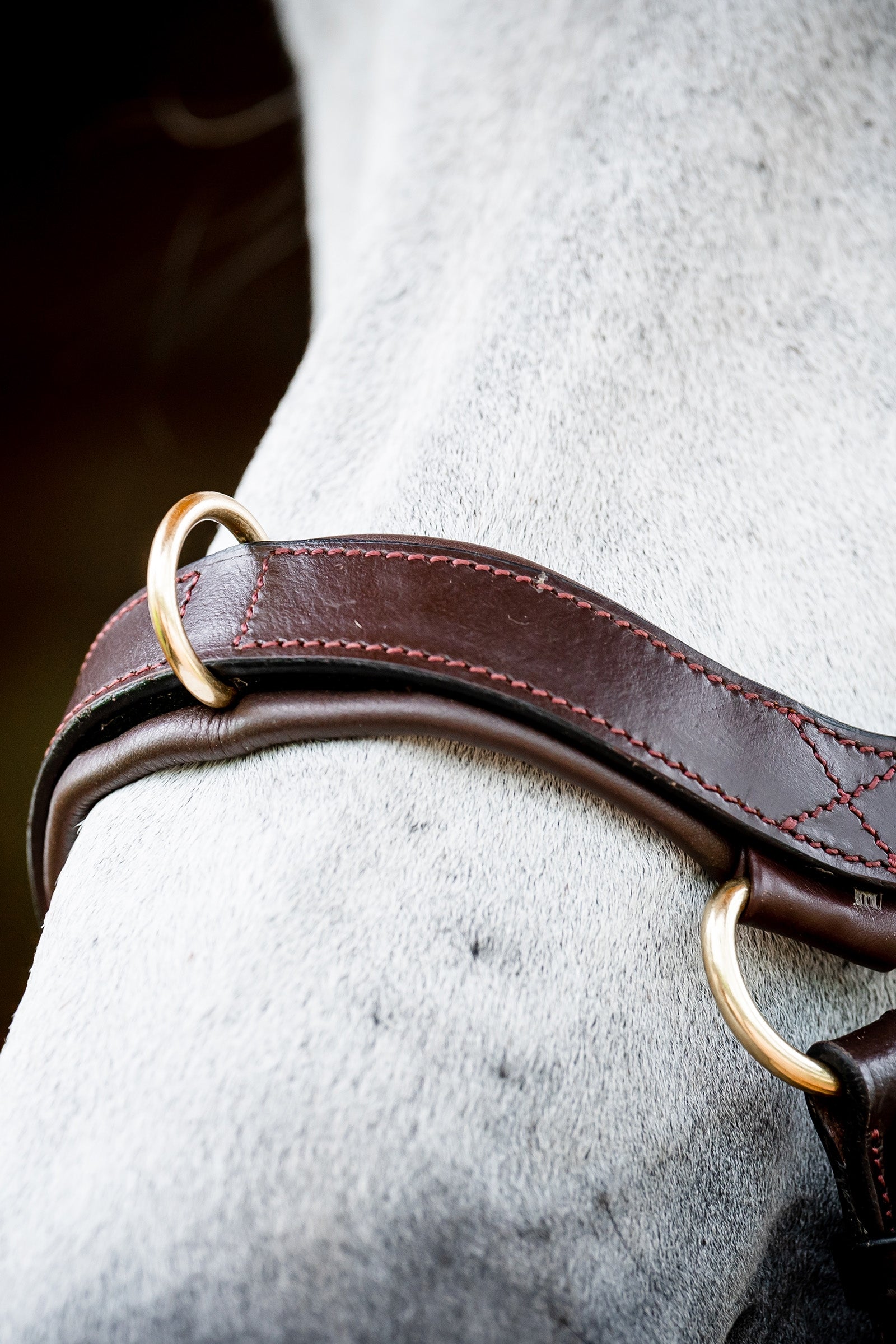 Horseware Micklem 2 Multi Bridle Bridles & Reins