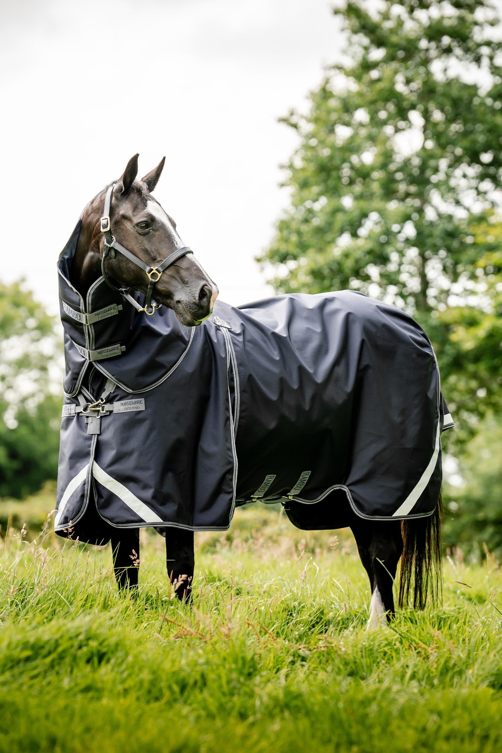 Horseware Rambo Optimo Turnout Plus, 0g Horse Rugs