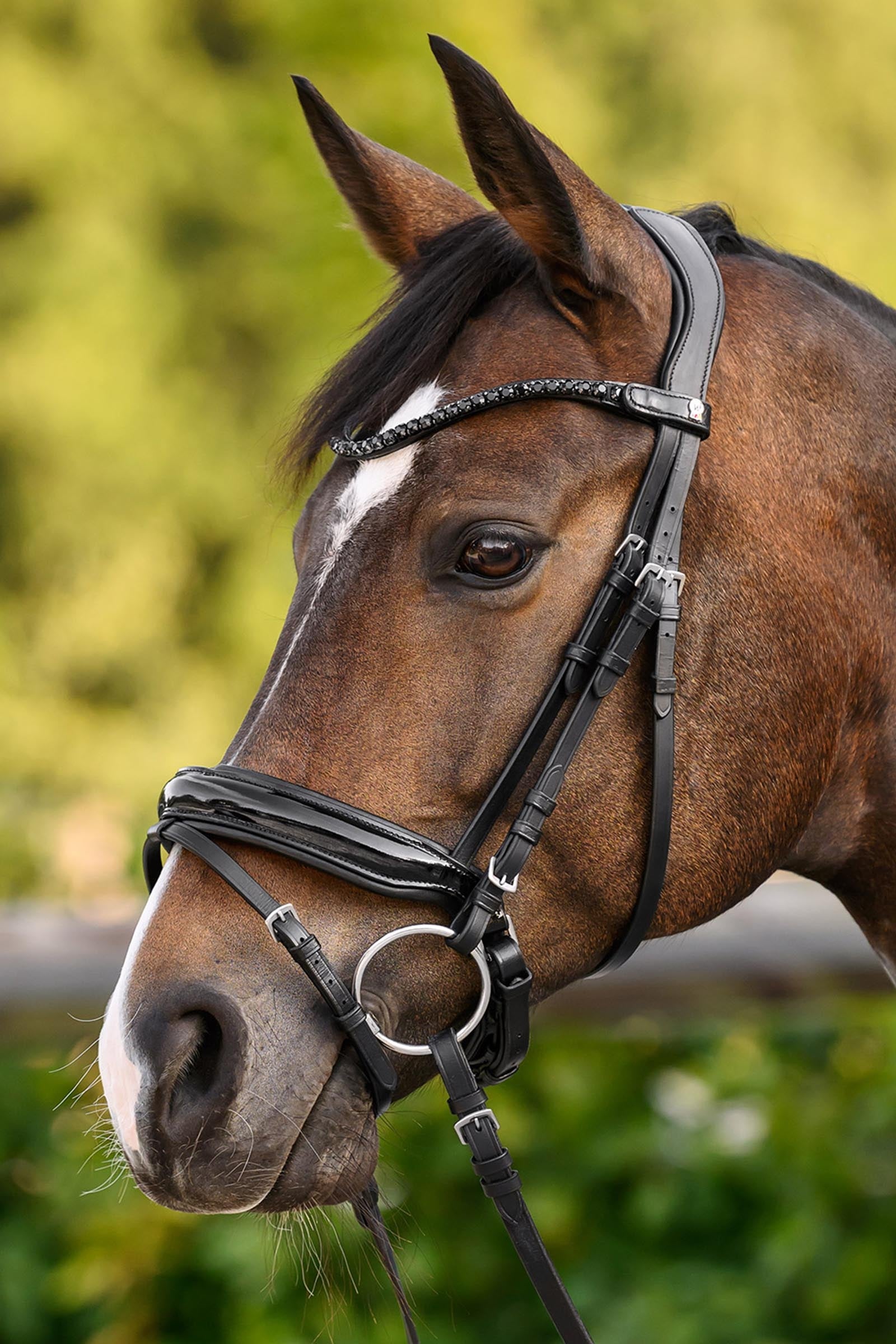 Waldhausen X-Line Shine Browband Bridles & Reins