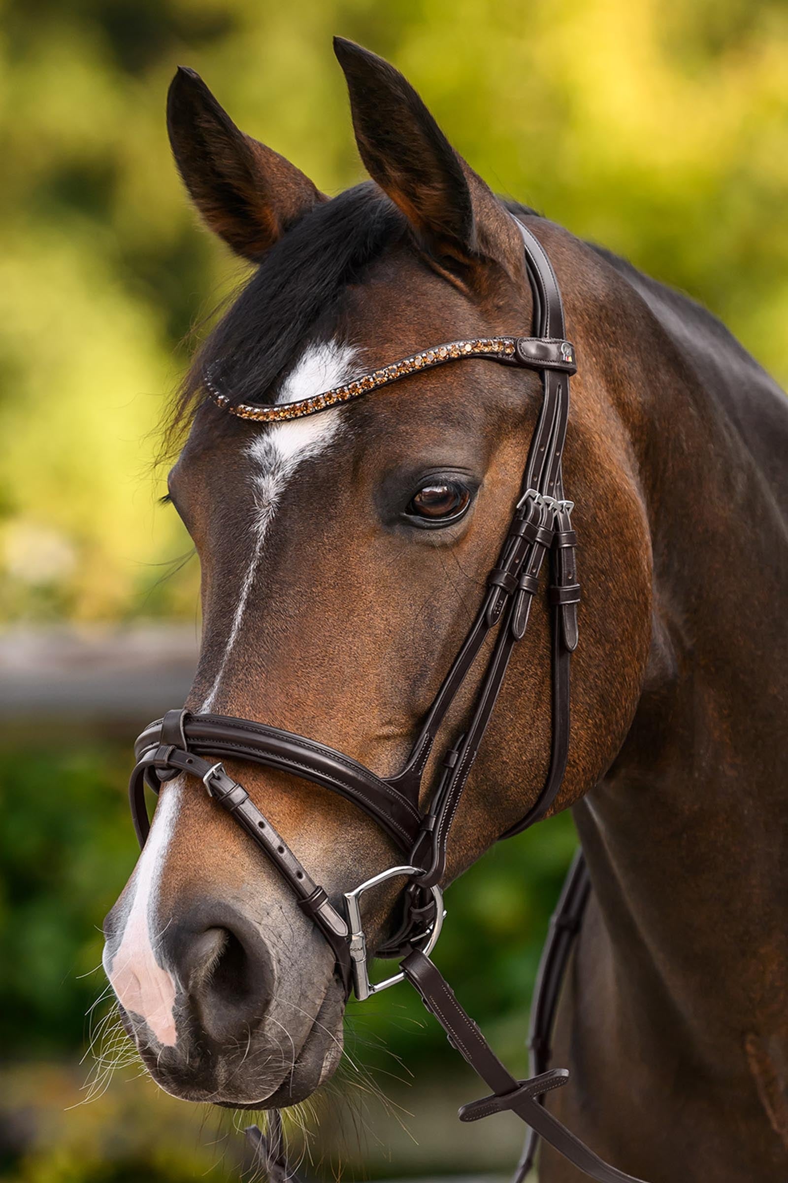 Waldhausen X-Line Shine Browband Bridles & Reins